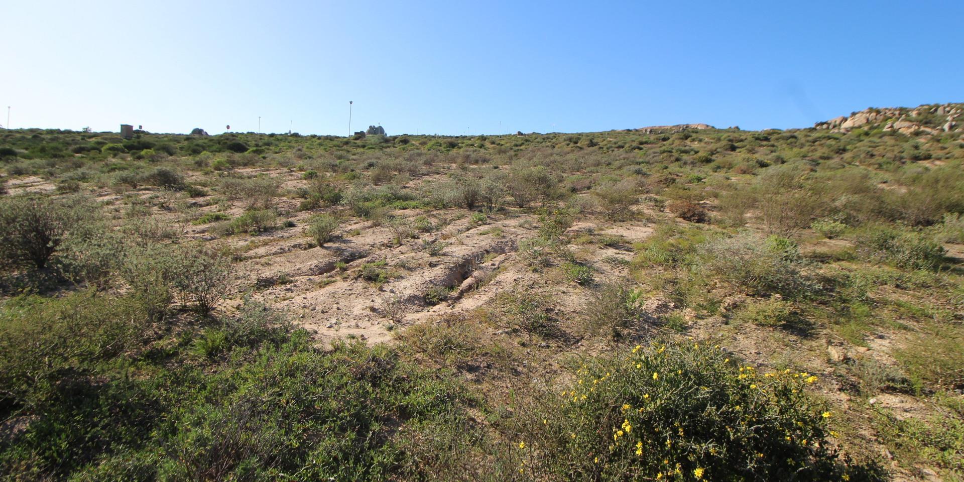 Image 5 of 6