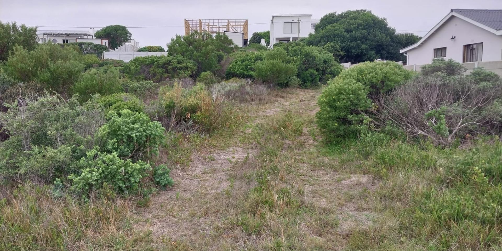 Image 3 of 6
