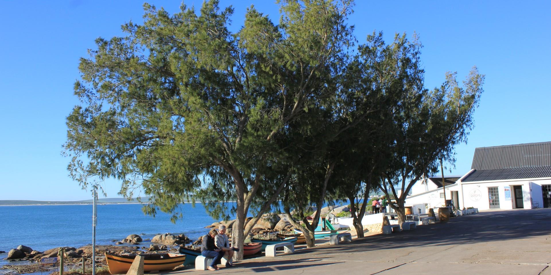 Image 5 of 6