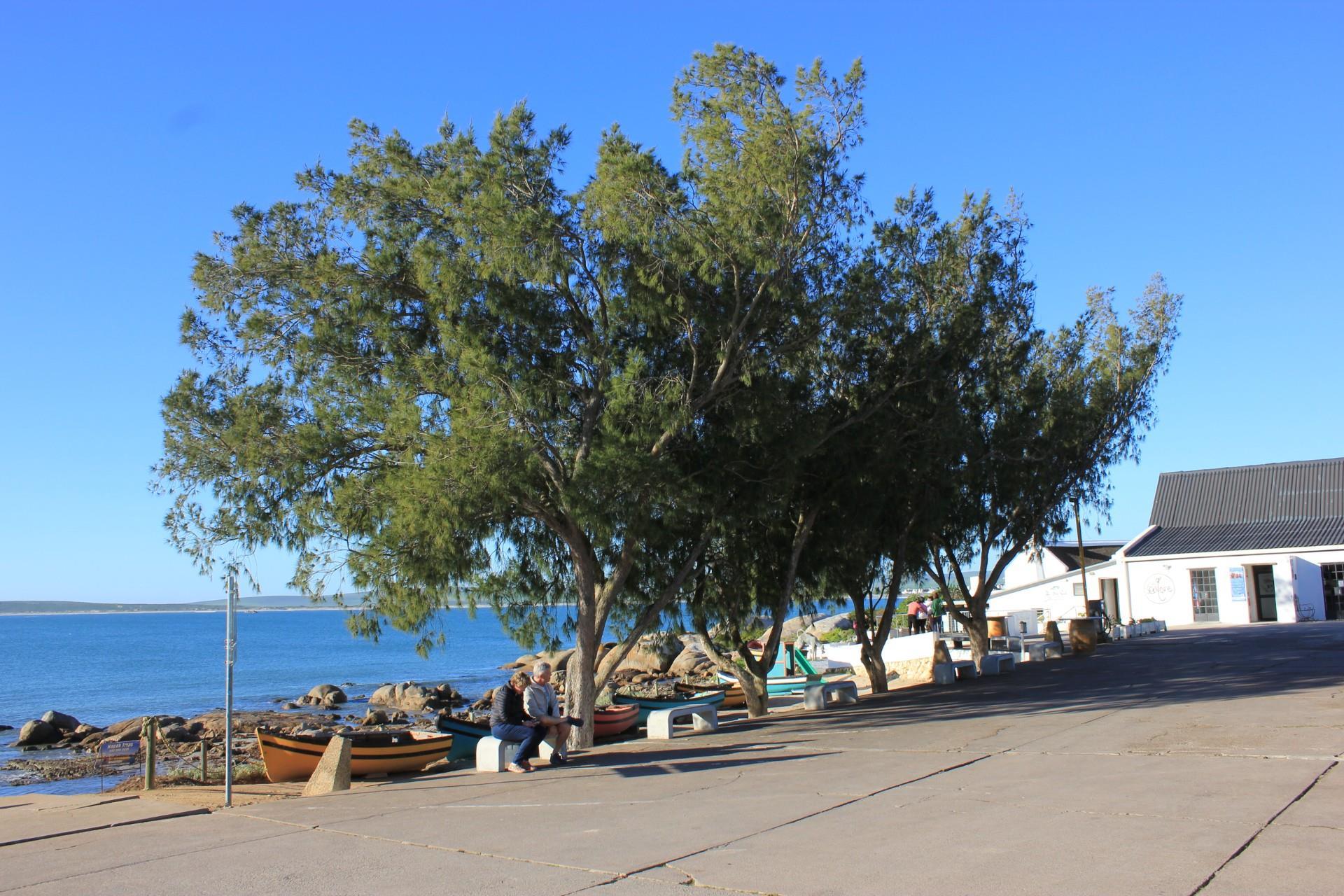 Image 5 of 6