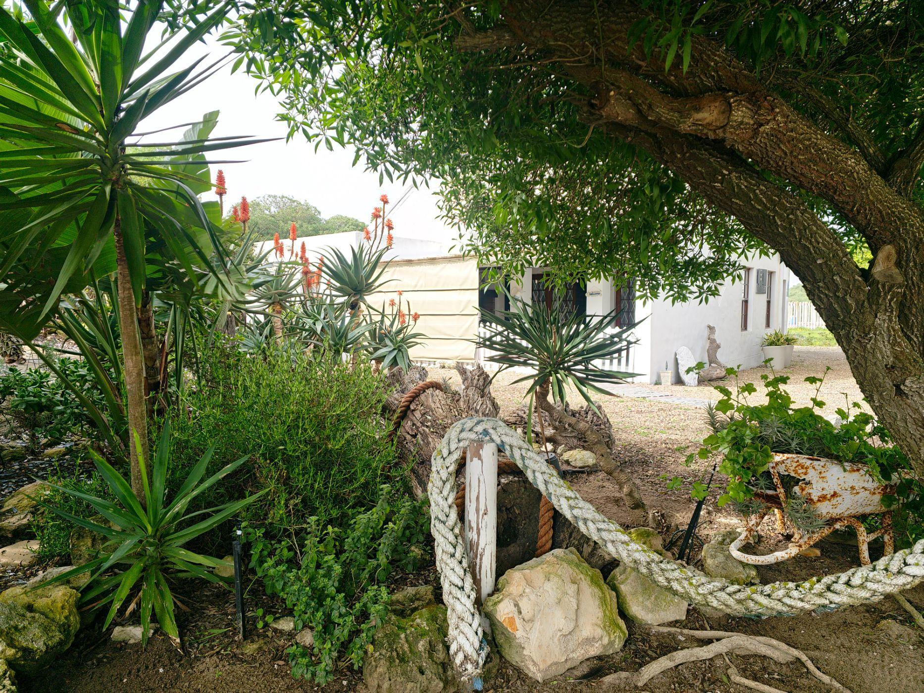 Image 25