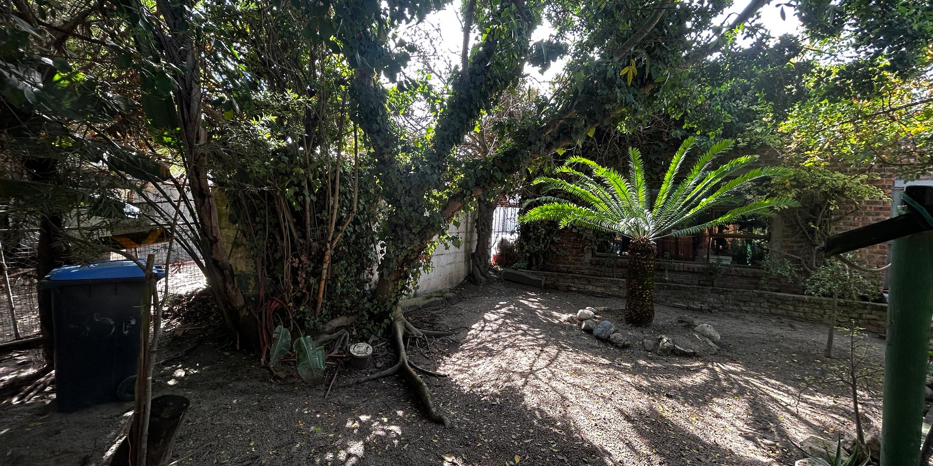 Image 4 of 6