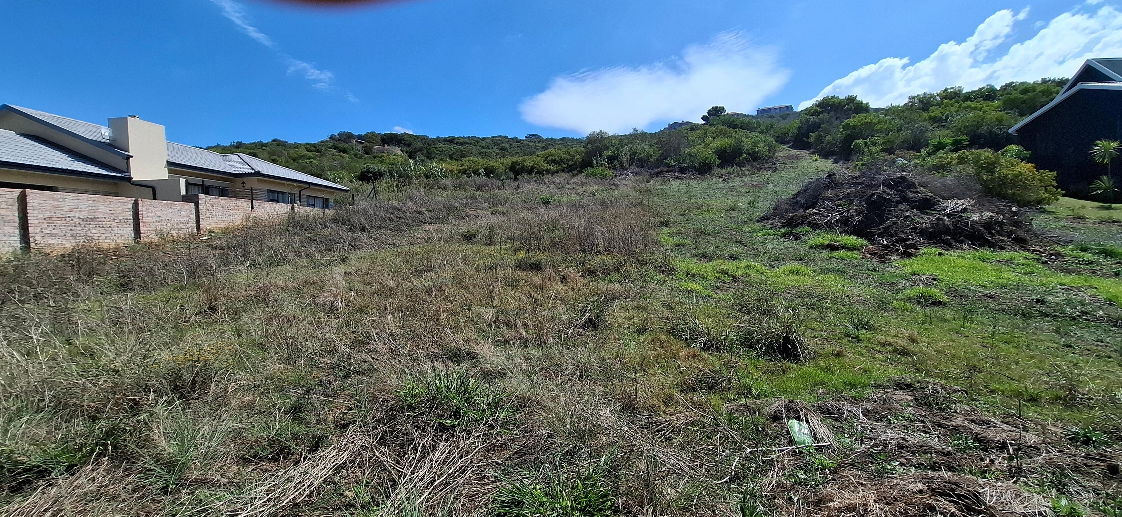 Image 2 of 6