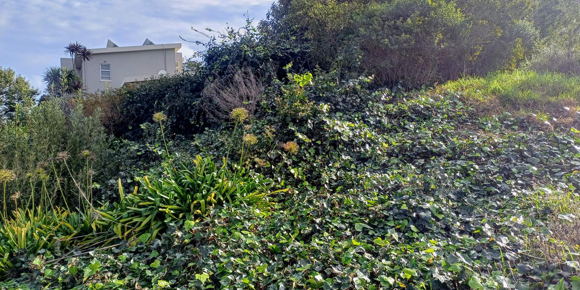 Image 4 of 6