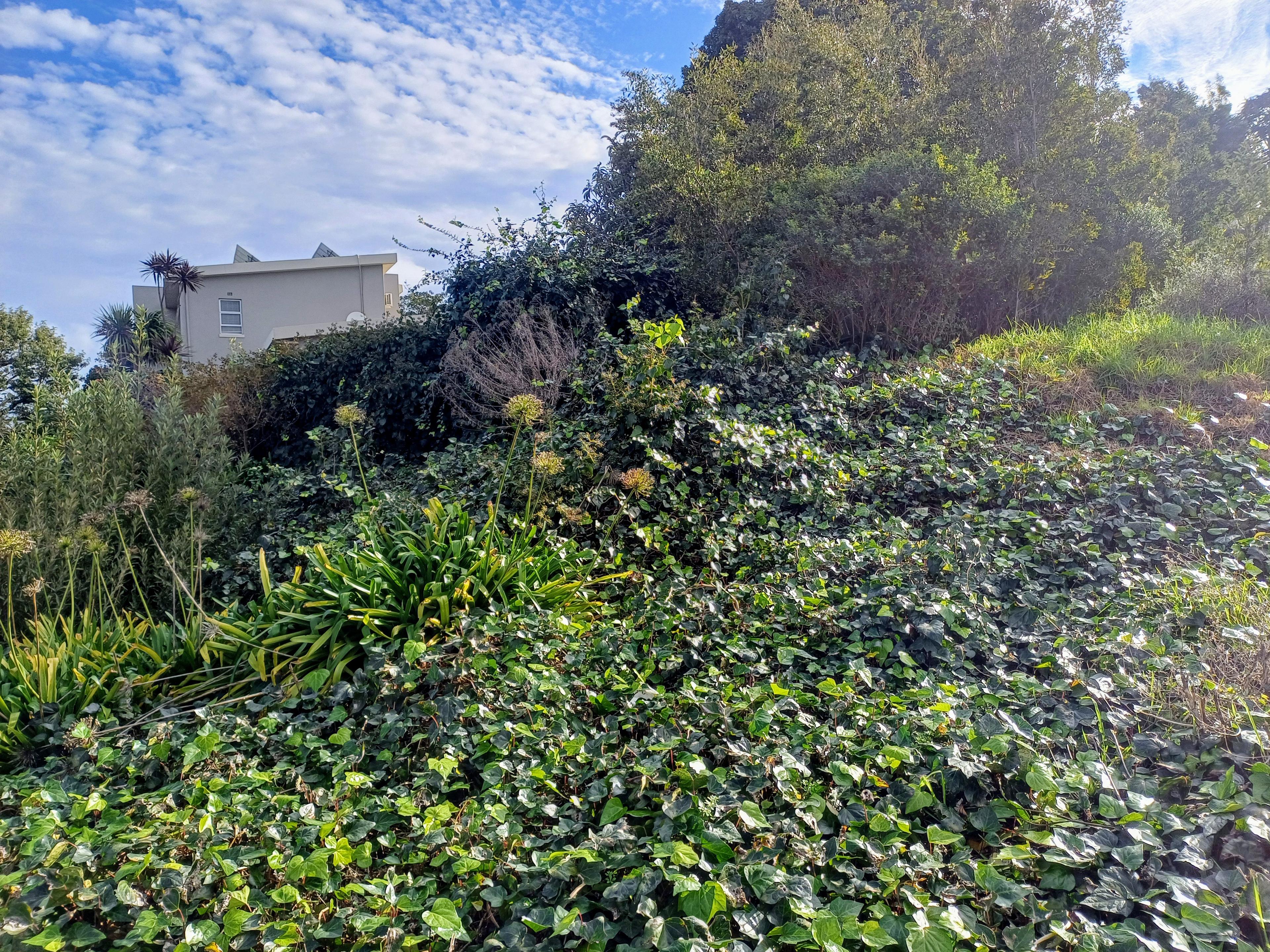 Image 4 of 6
