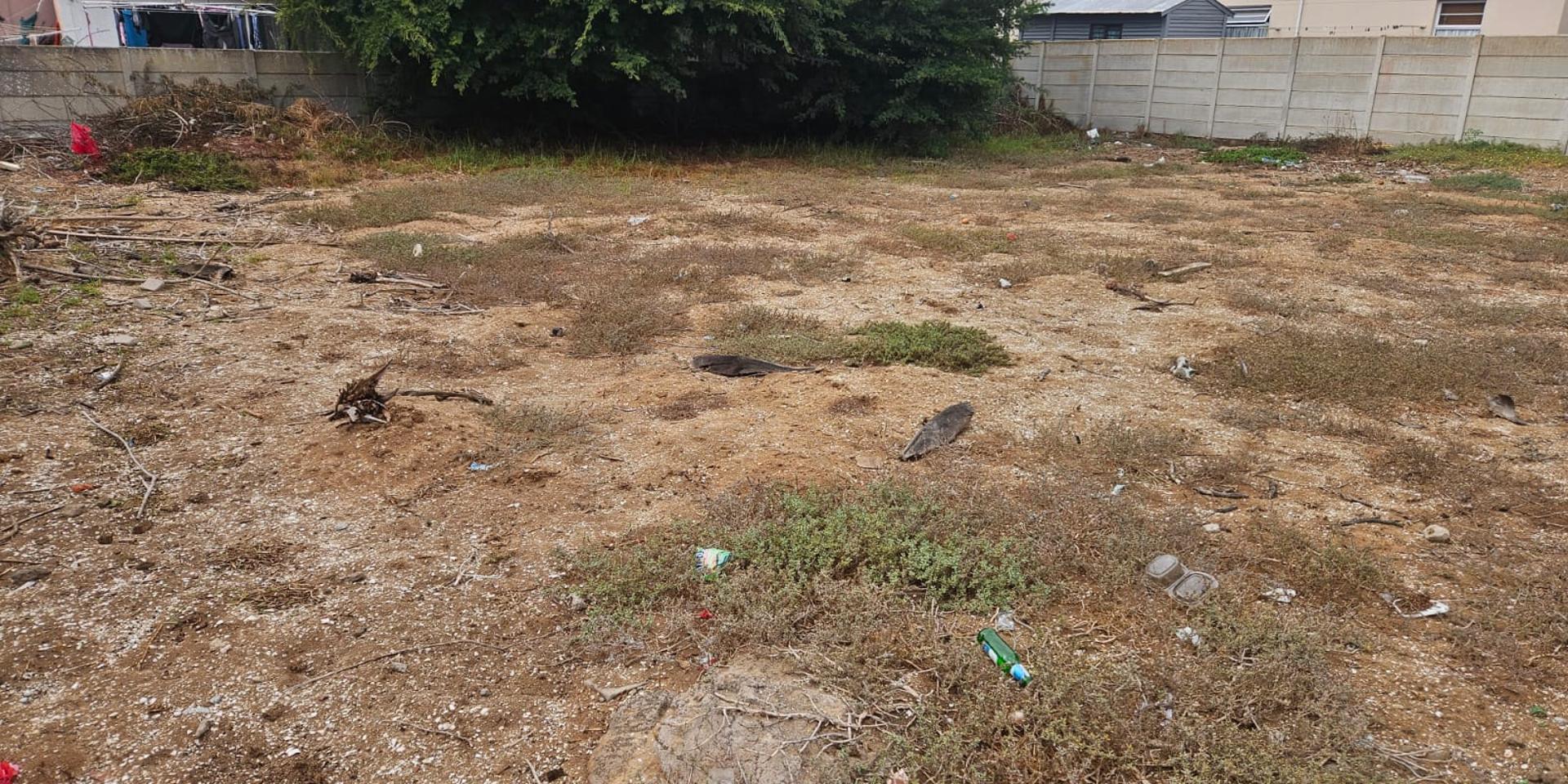 Image 5 of 6