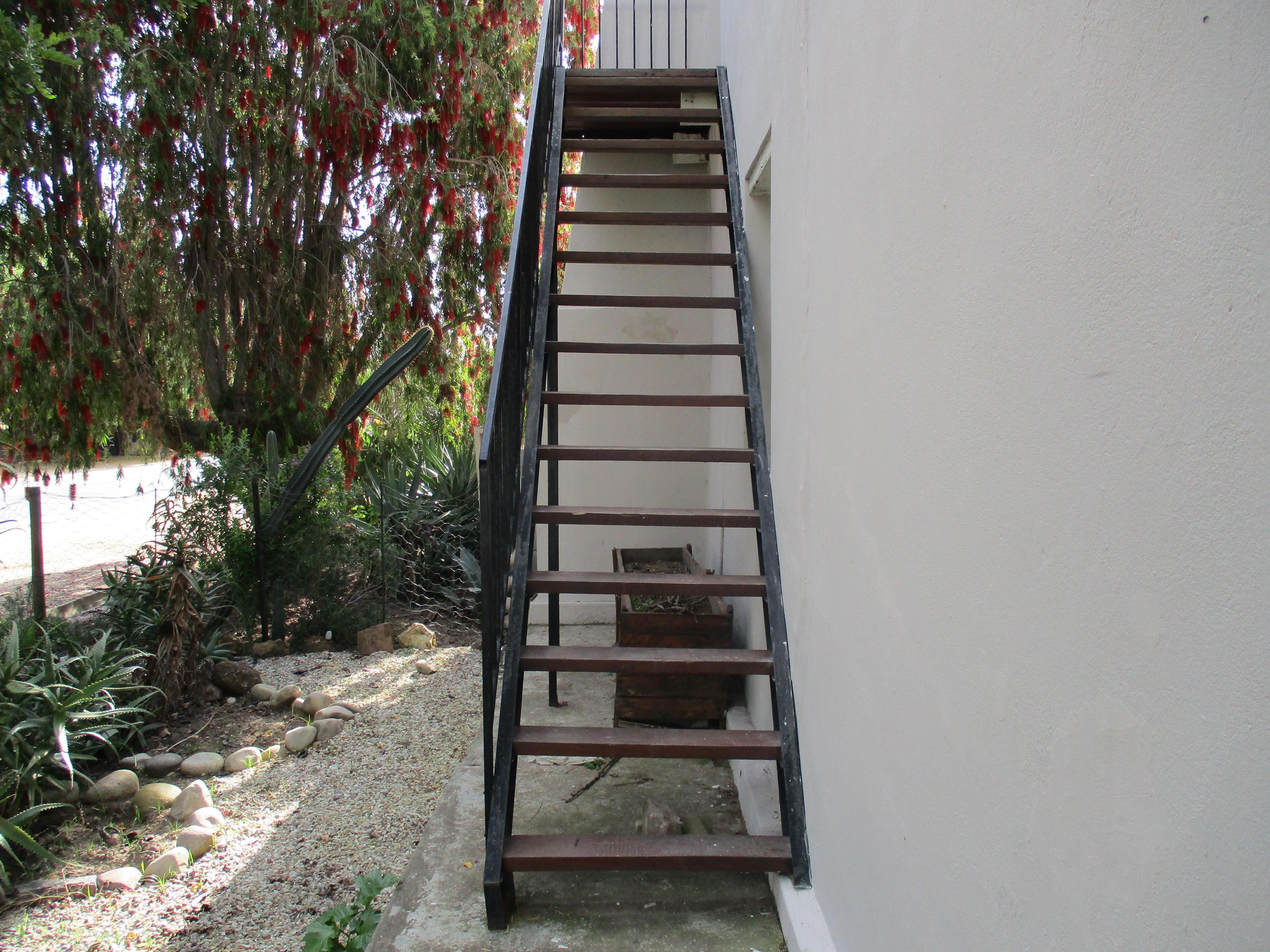 Image 15