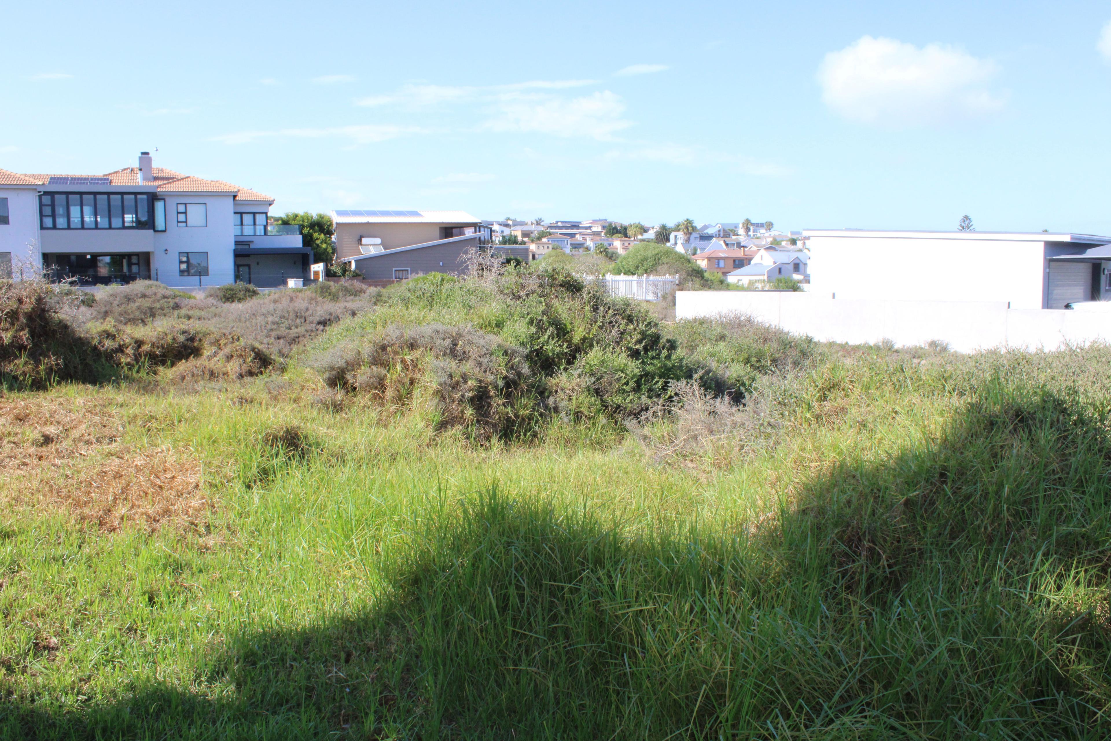 Image 3 of 6