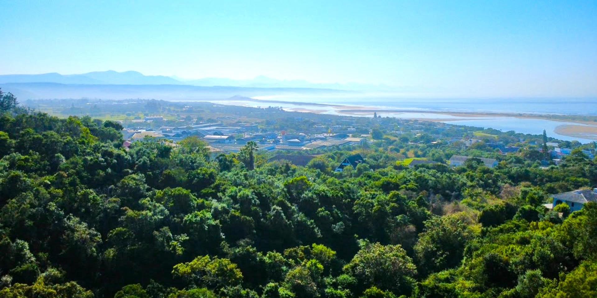 Image 2 of 6