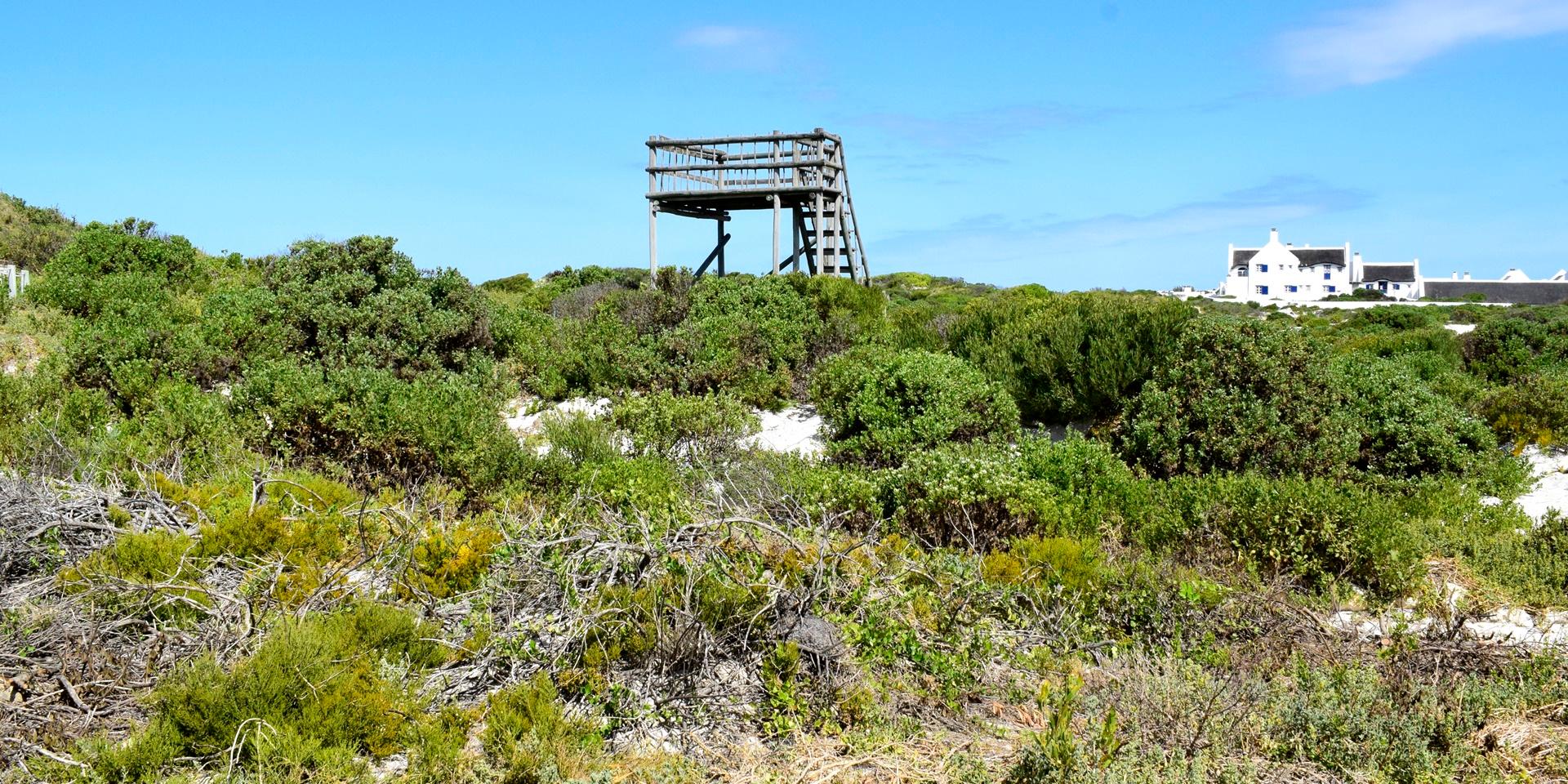 Image 5 of 6