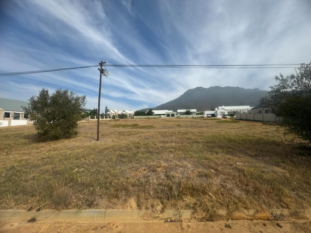 Image 5 of 6