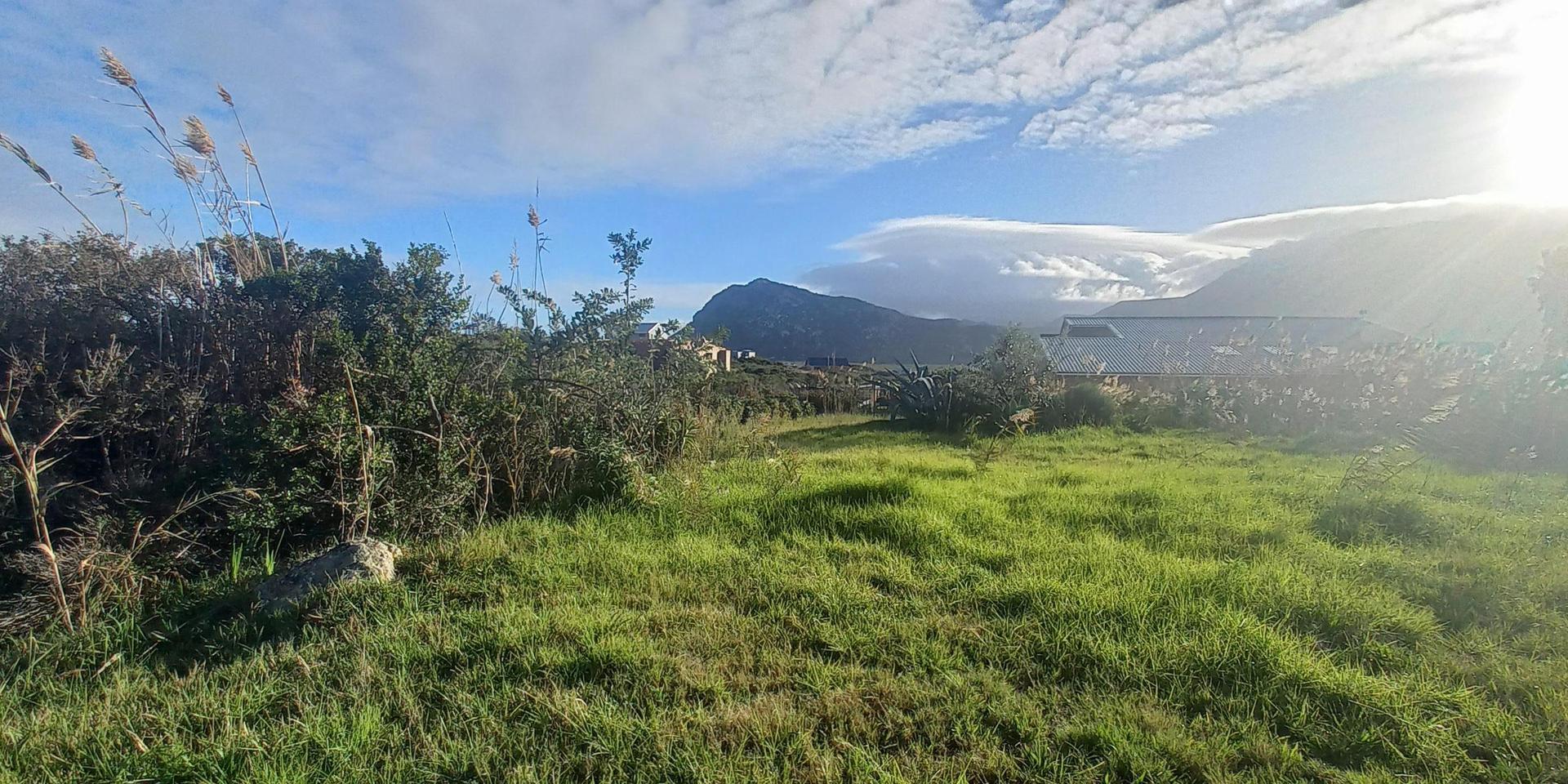 Image 3 of 6