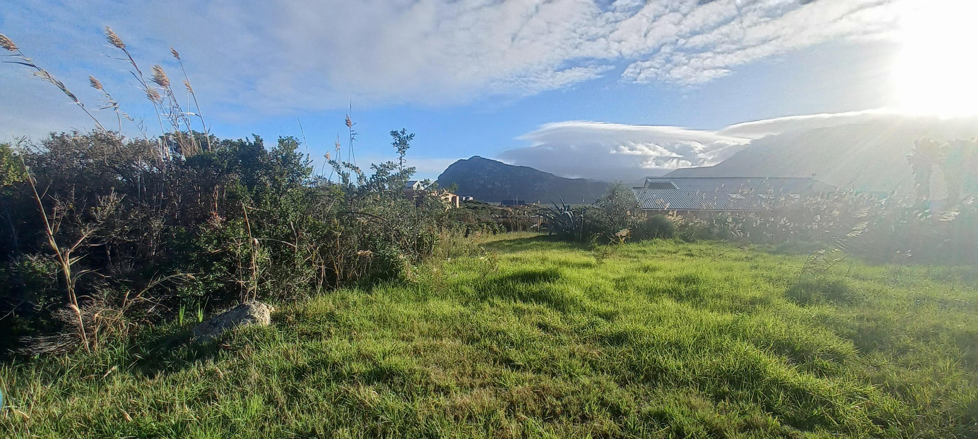 Image 5 of 6