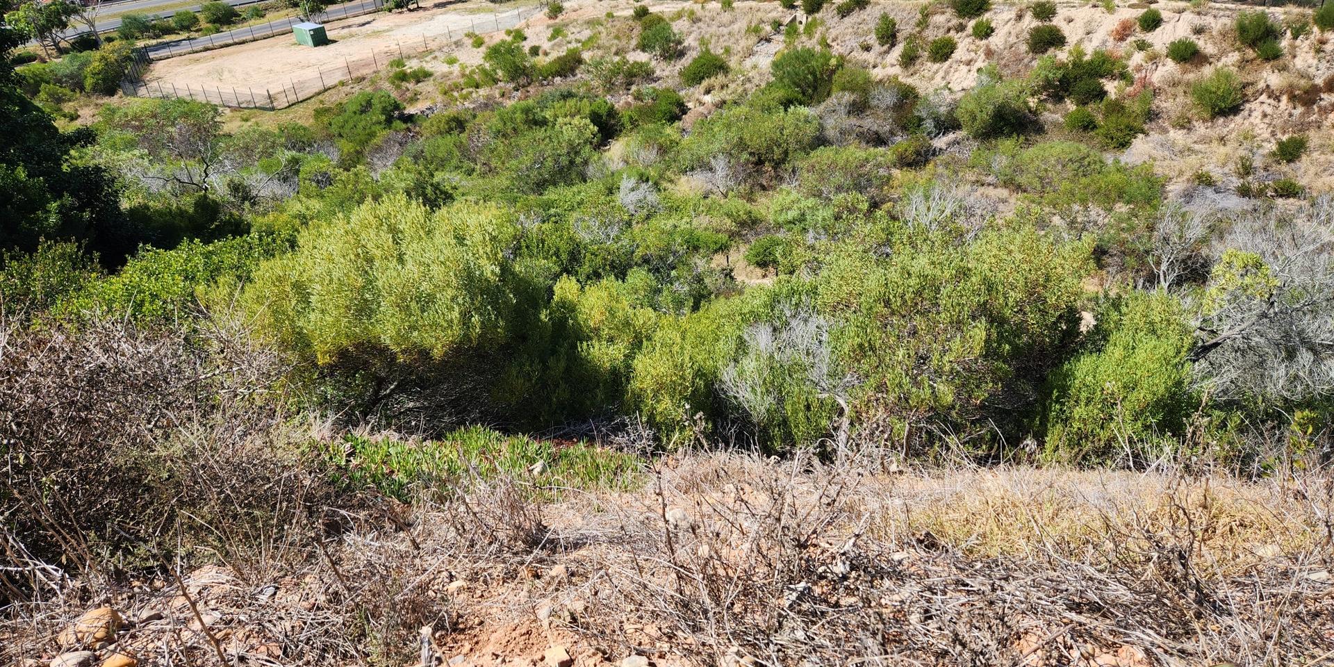 Image 2 of 6
