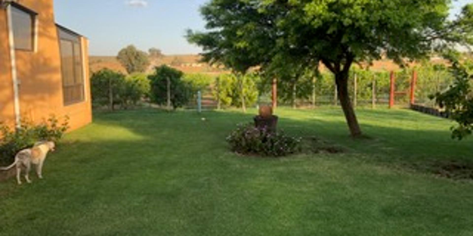 Image 4 of 6