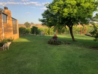 Image 4 of 6