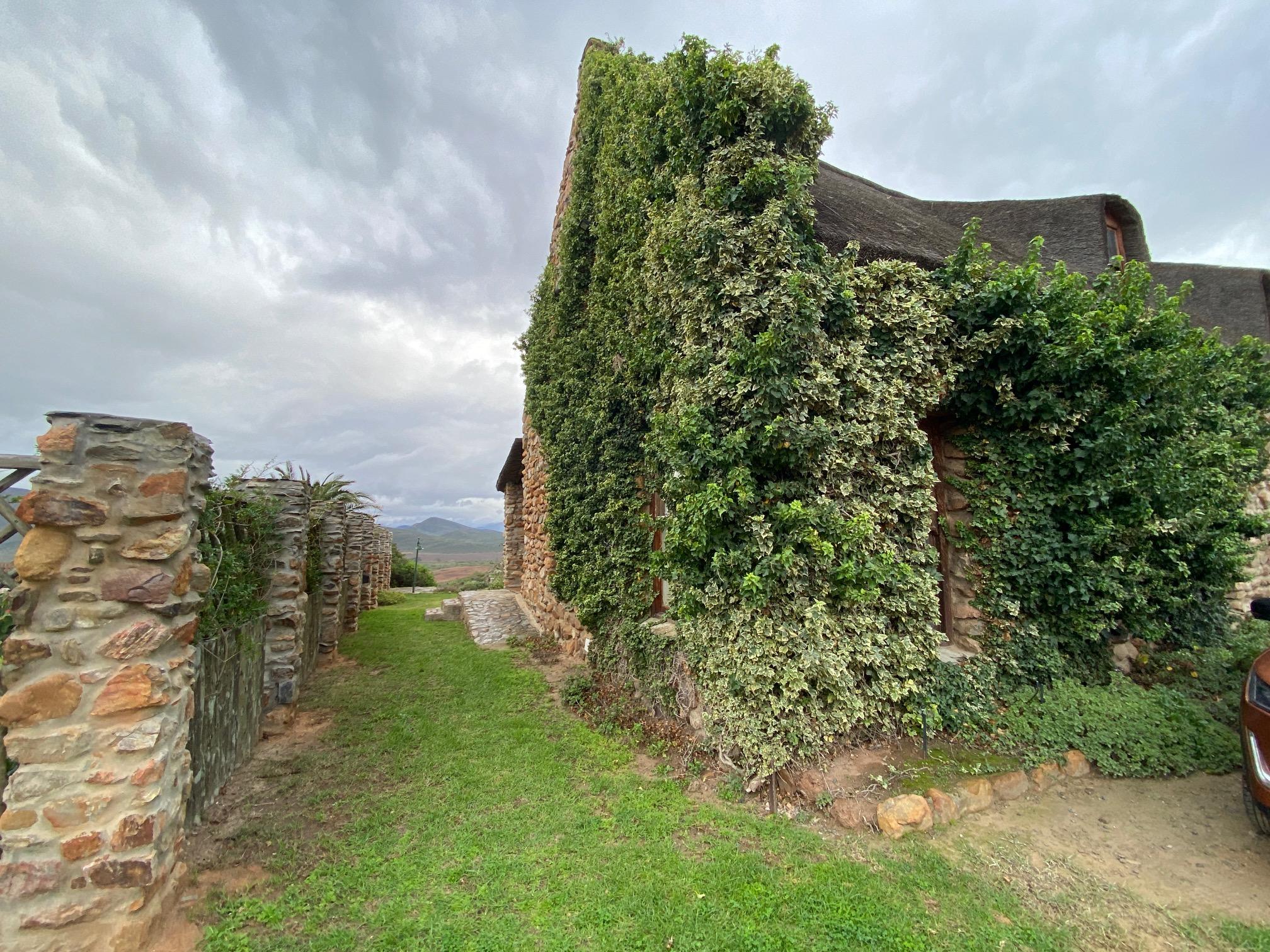Image 17