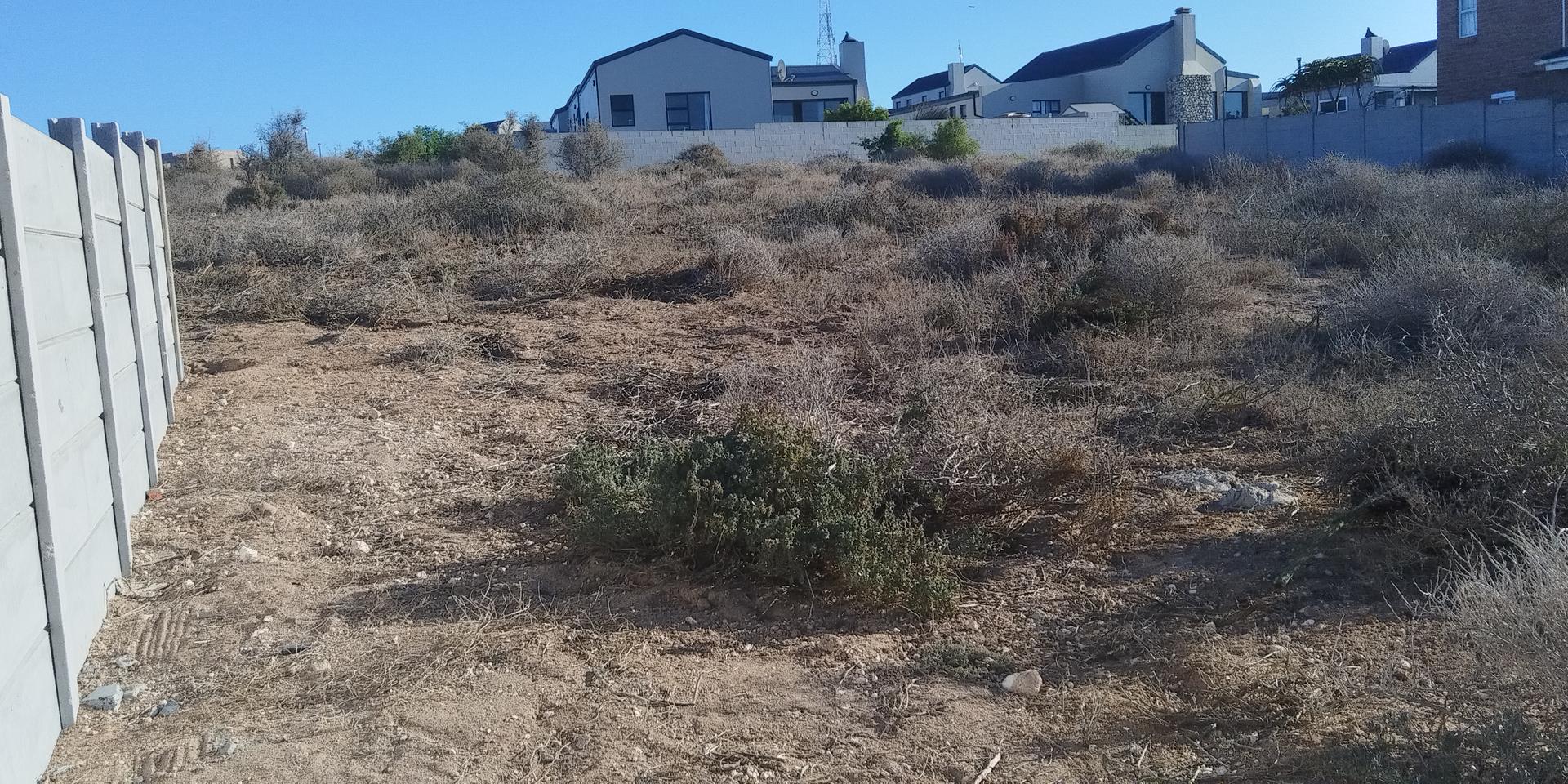 Image 3 of 6