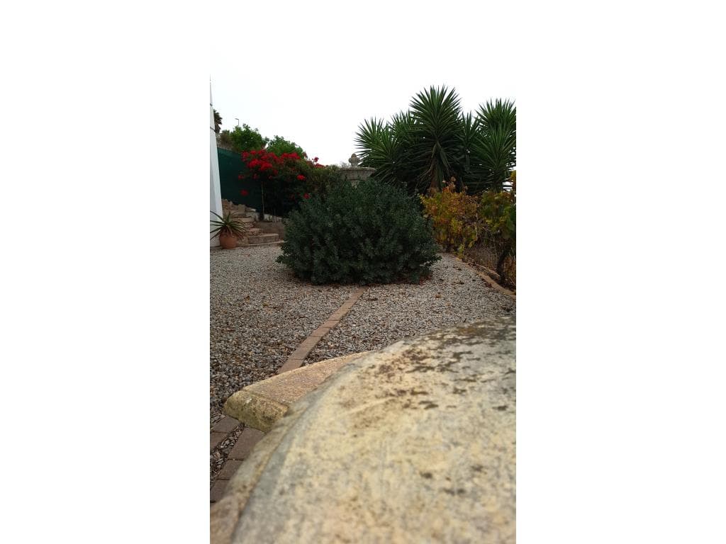 Image 29