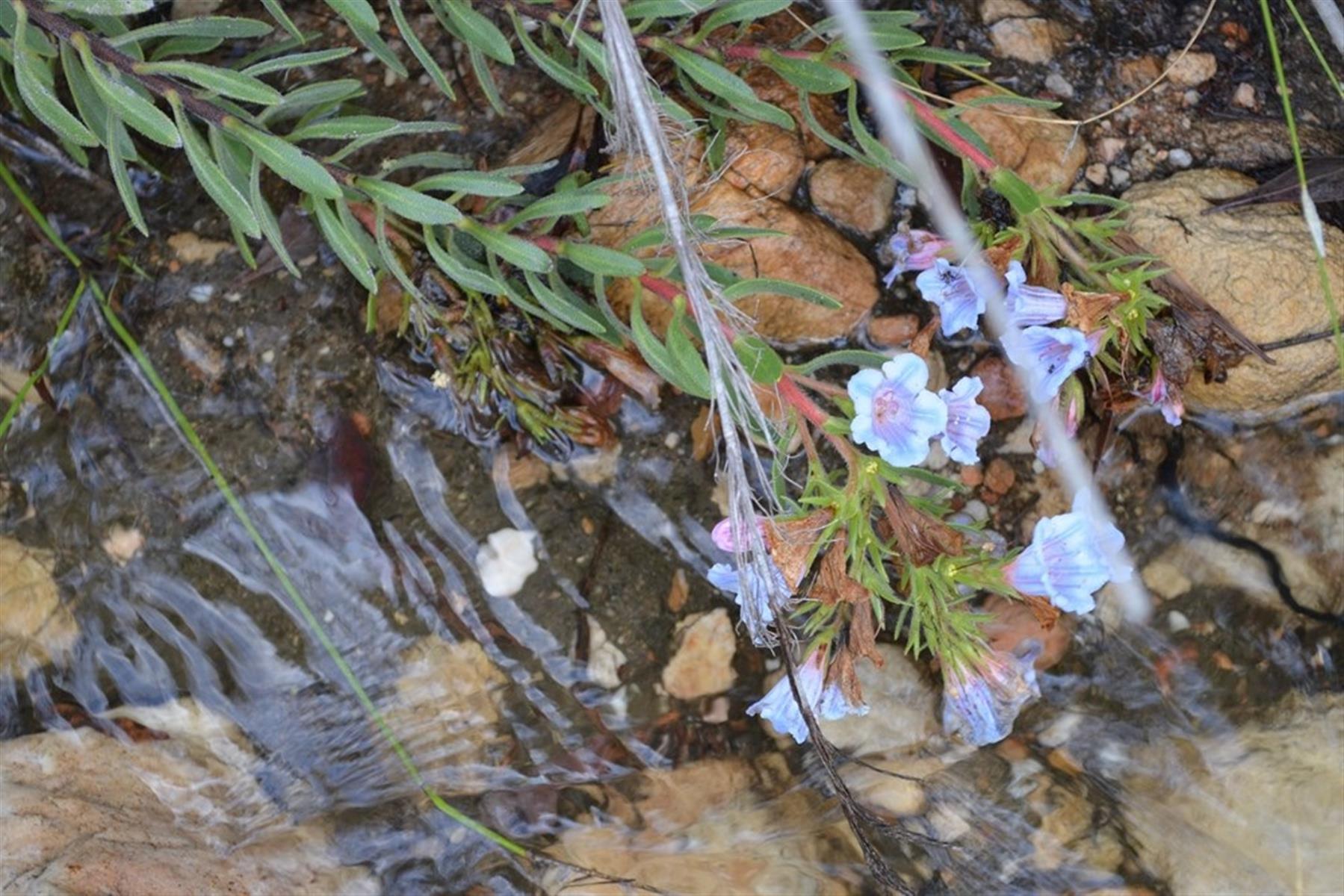 Image 60