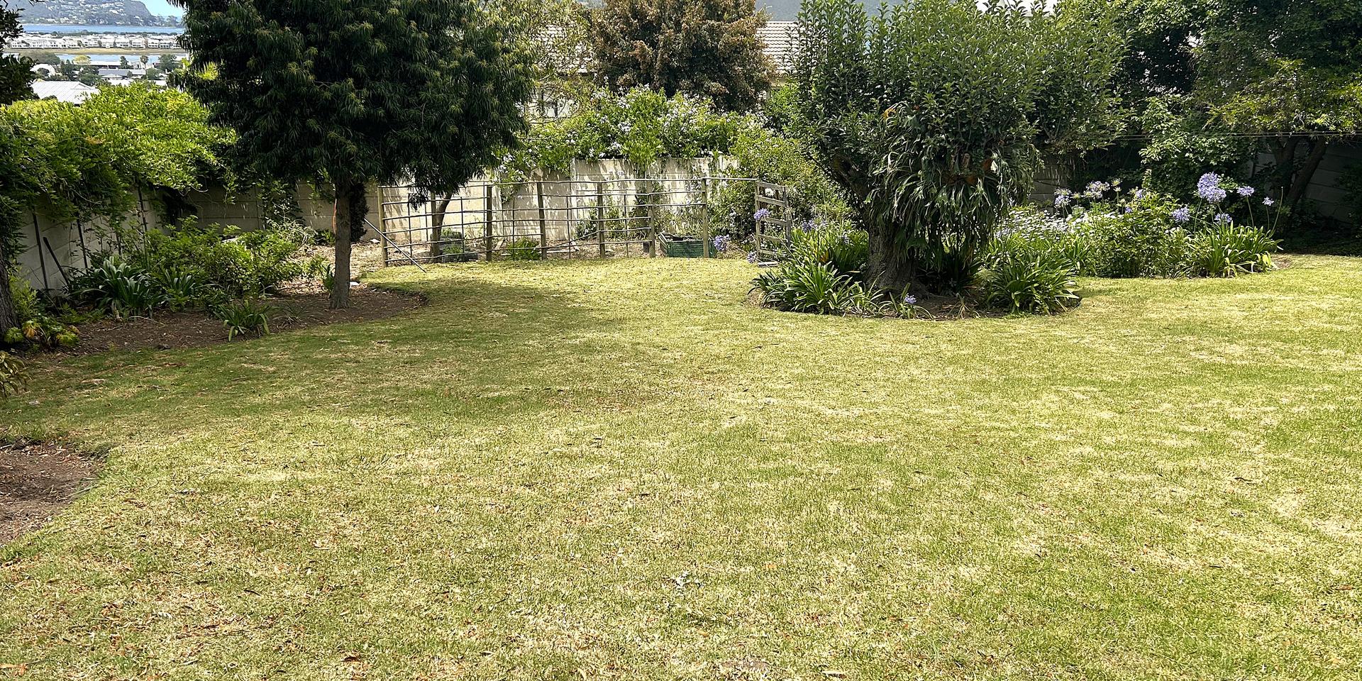 Image 2 of 6