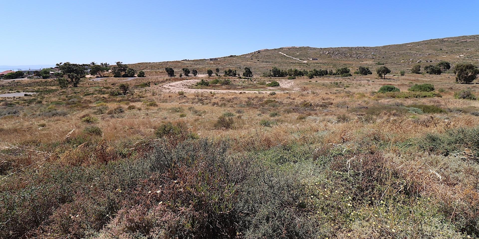 Image 4 of 6