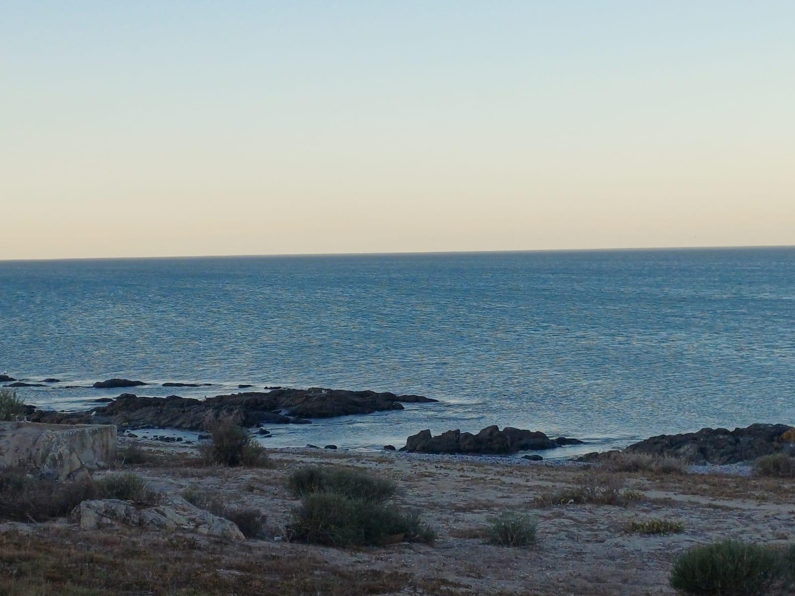 Image 4 of 6