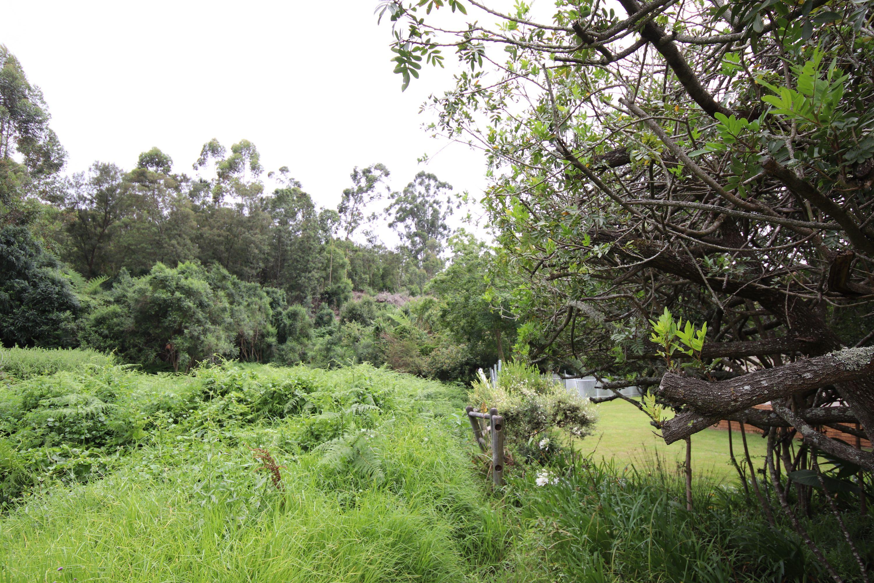 Image 15
