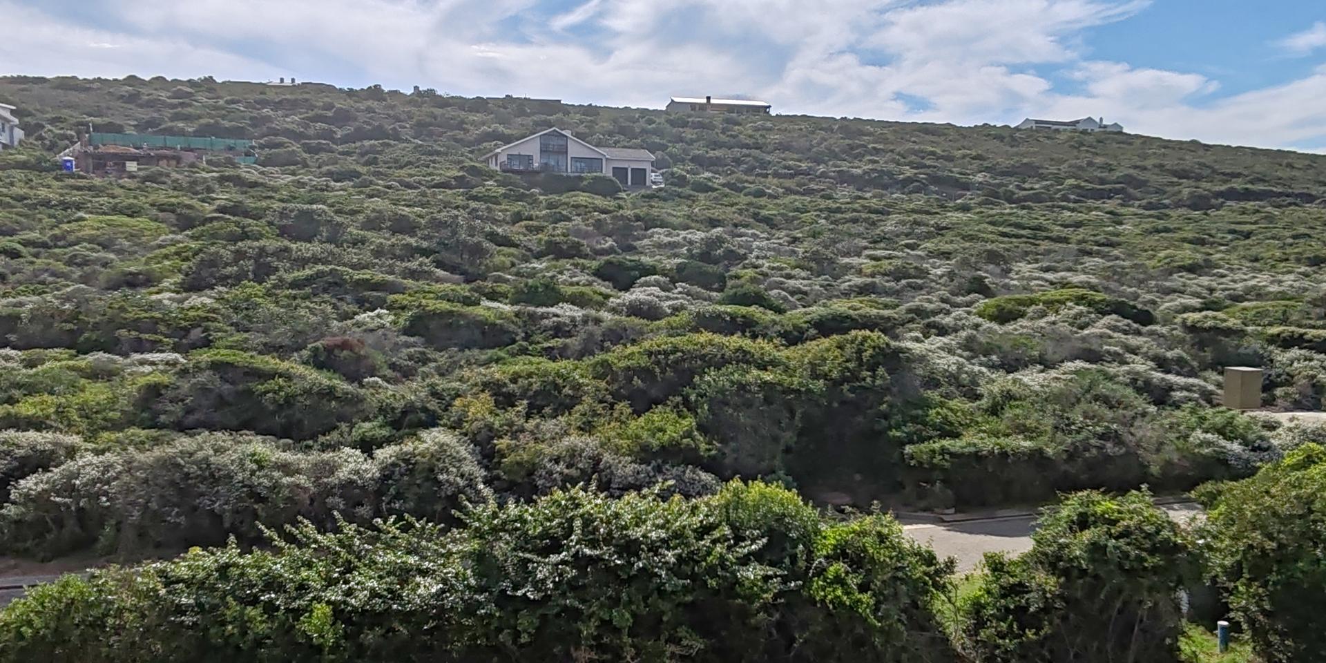 Image 2 of 6