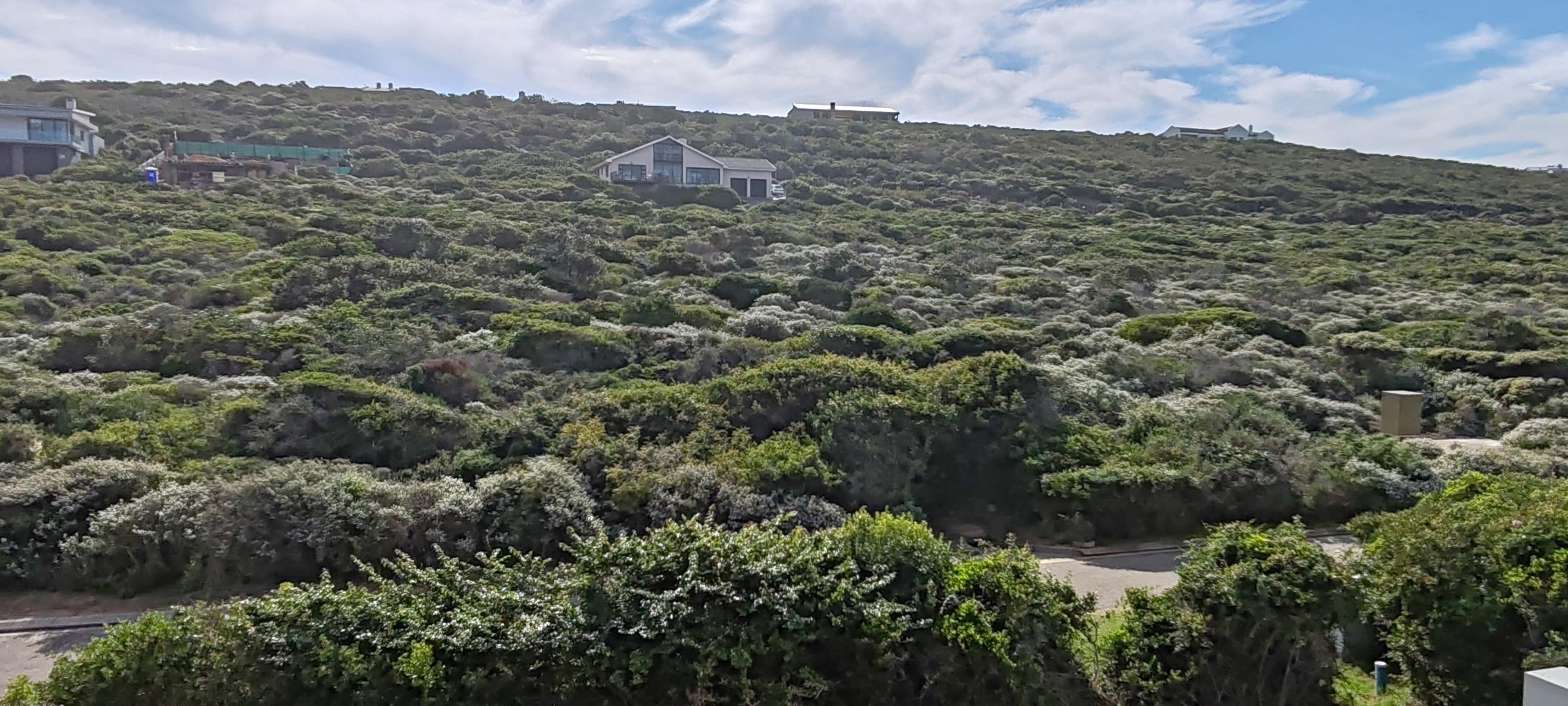Image 2 of 6