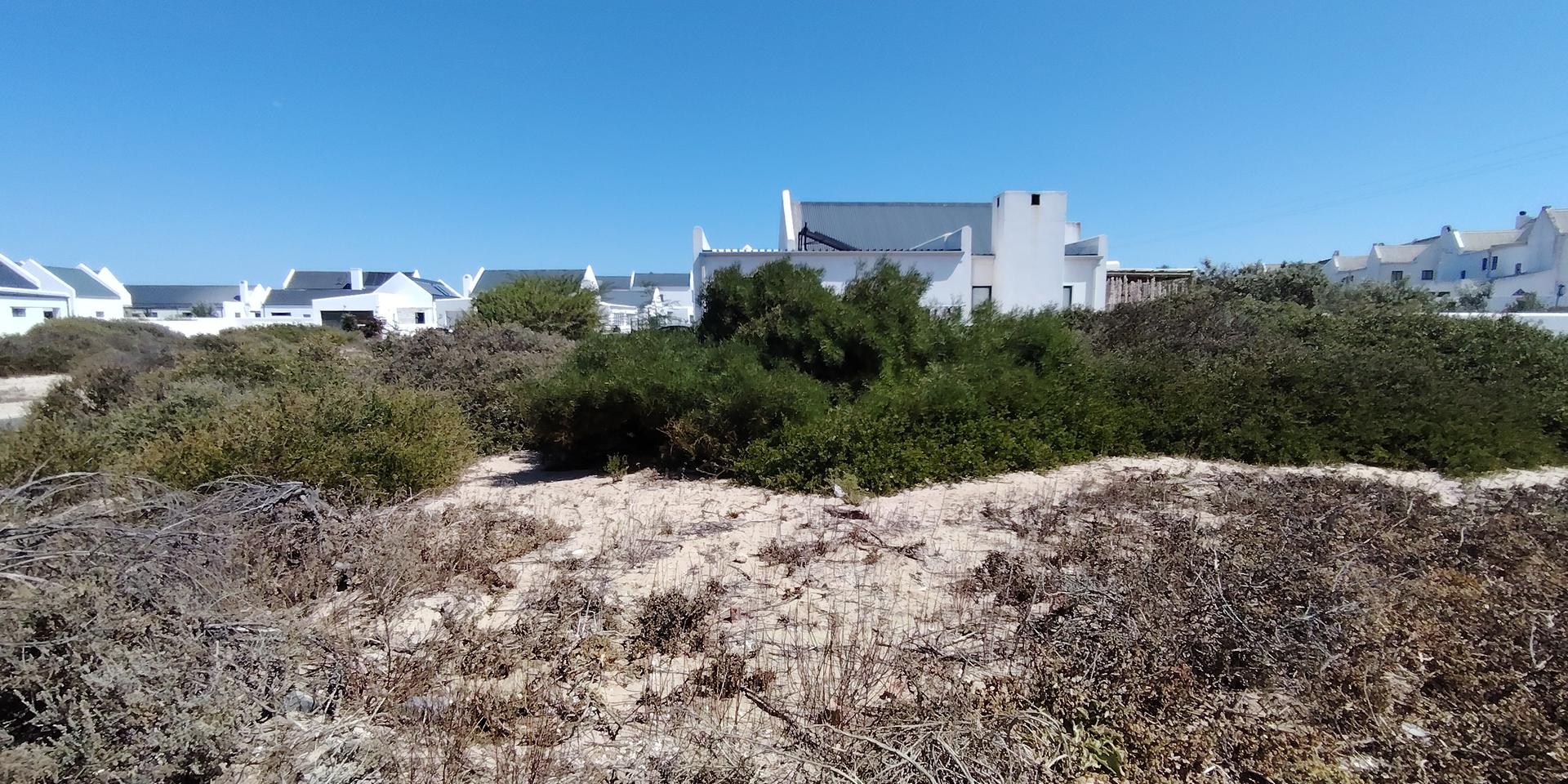 Image 5 of 6