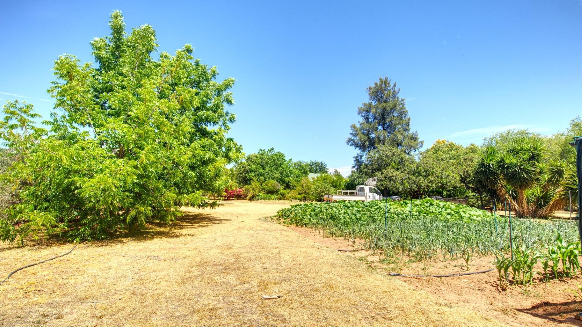 Image 5 of 6