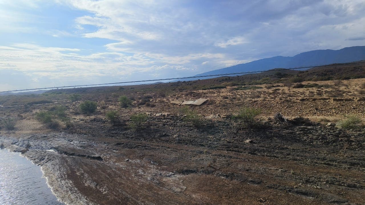 Image 31
