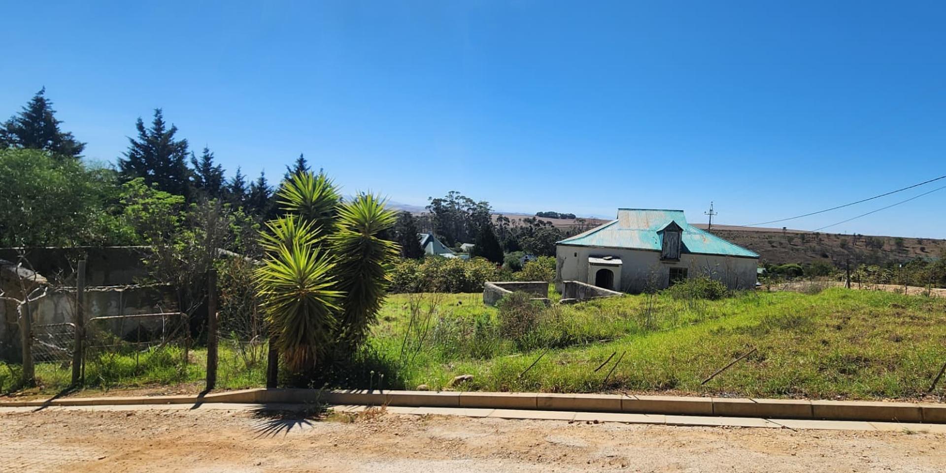 Image 5 of 6