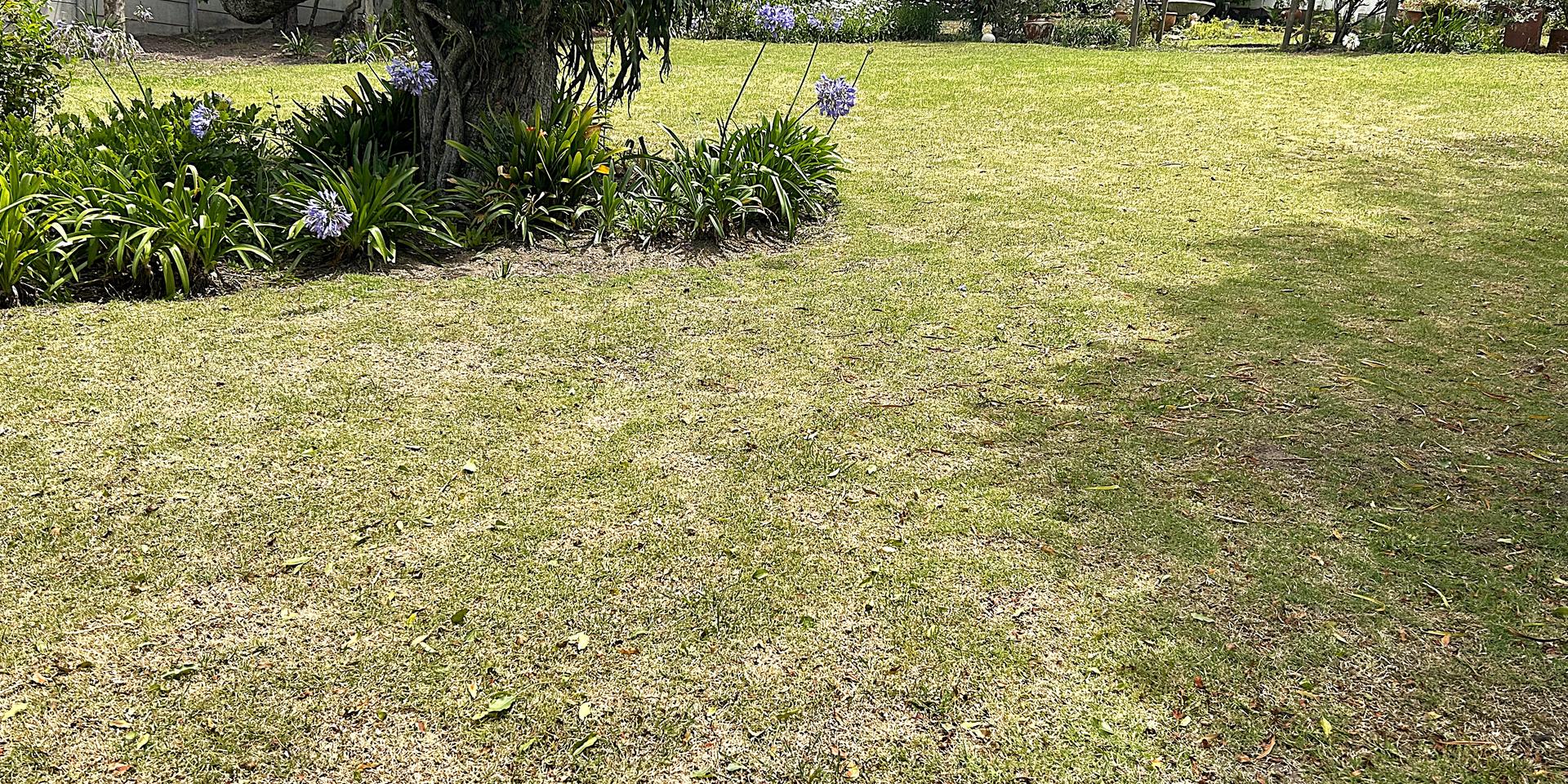Image 4 of 6