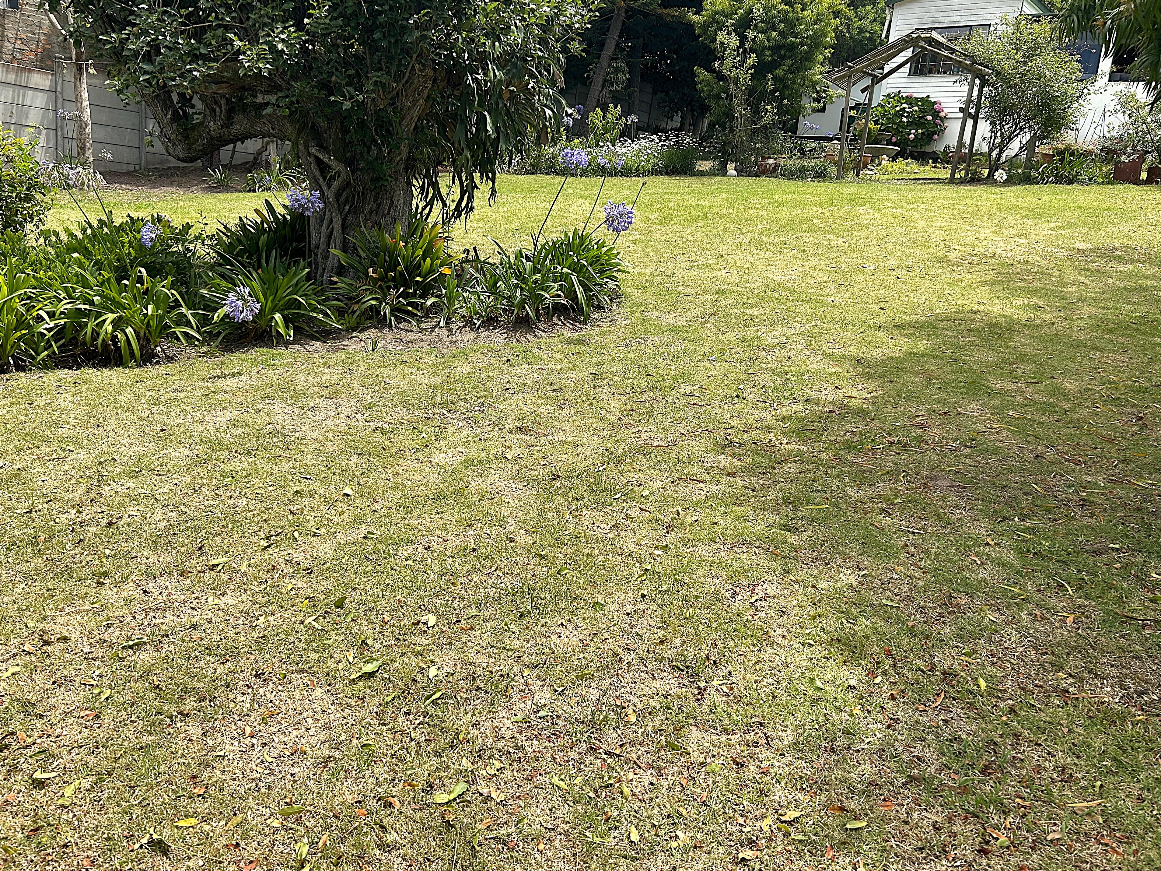 Image 4 of 6