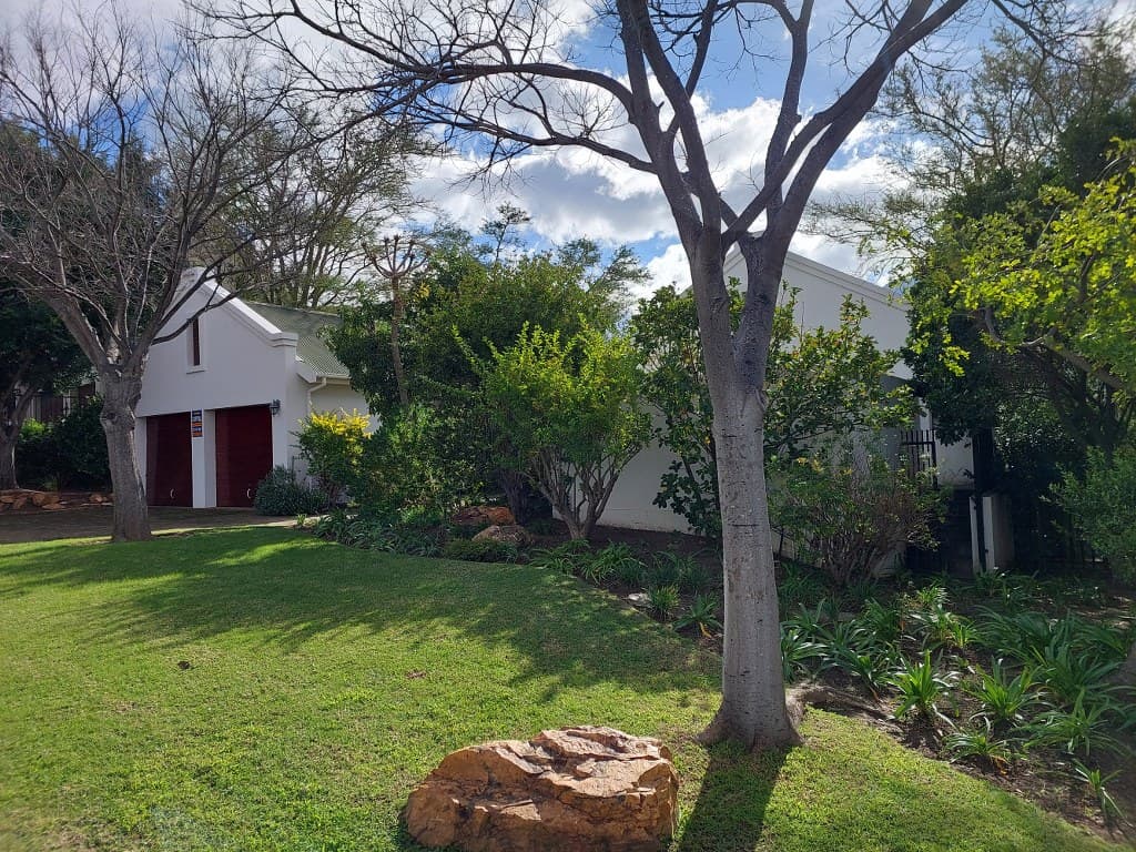 Image 31