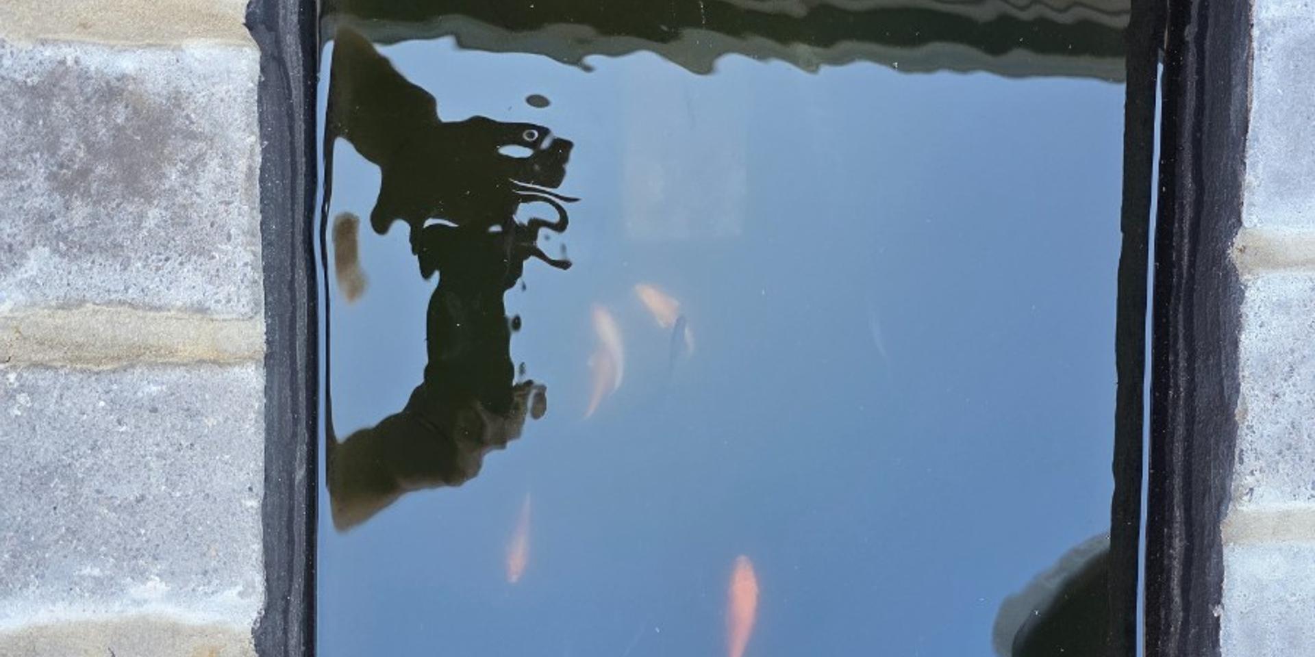 Image 4 of 6
