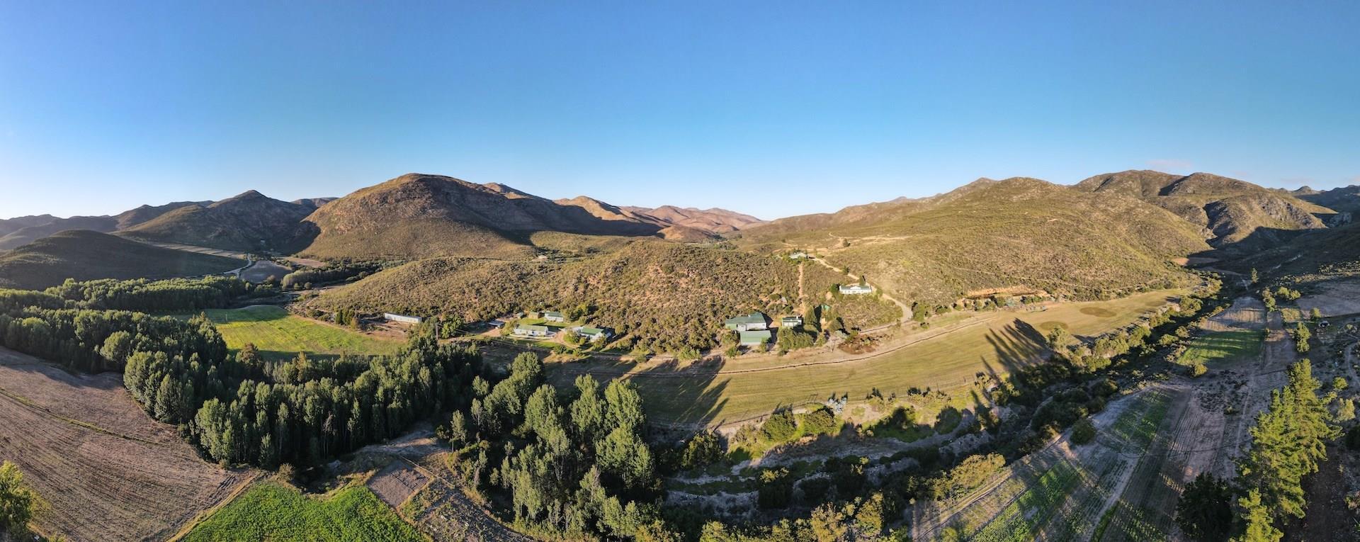 Image 4 of 6