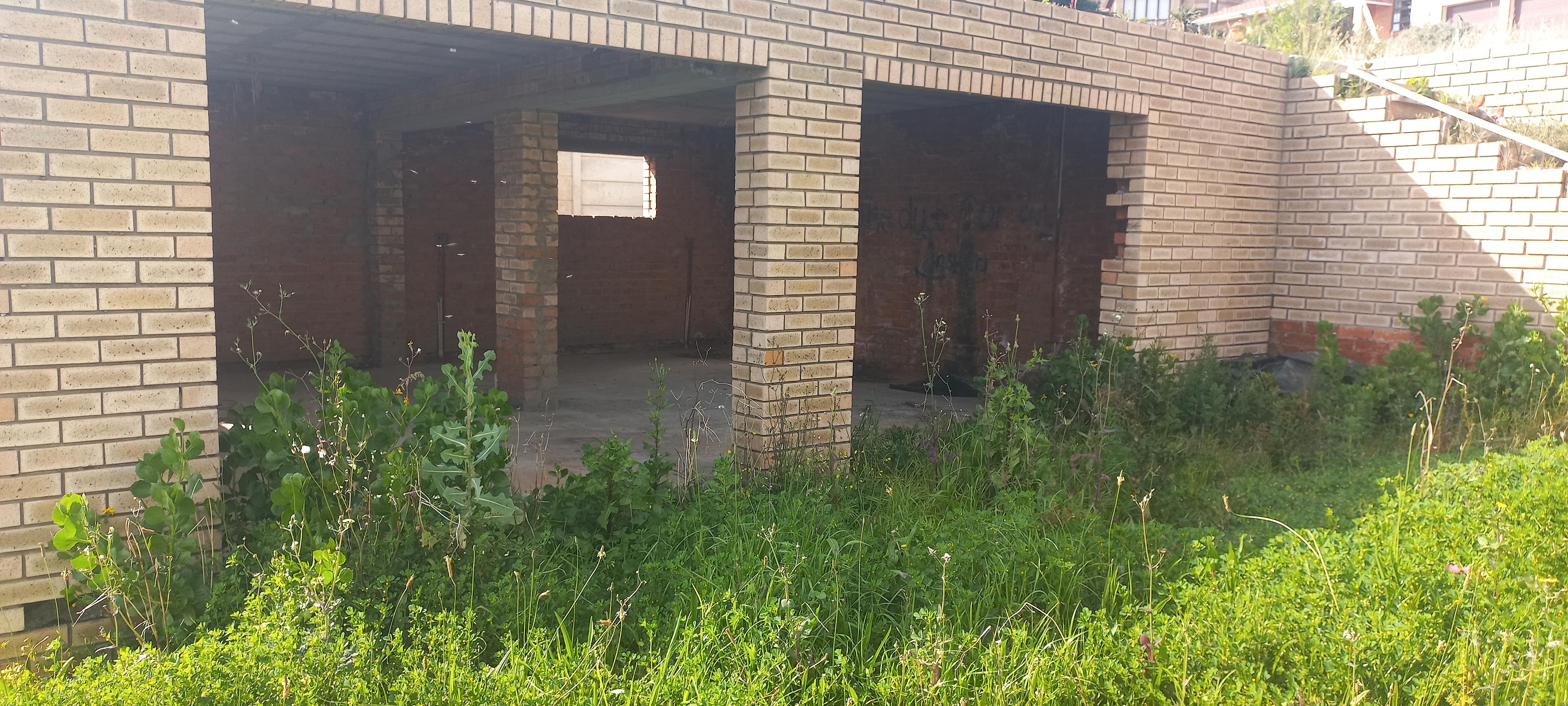 Image 14