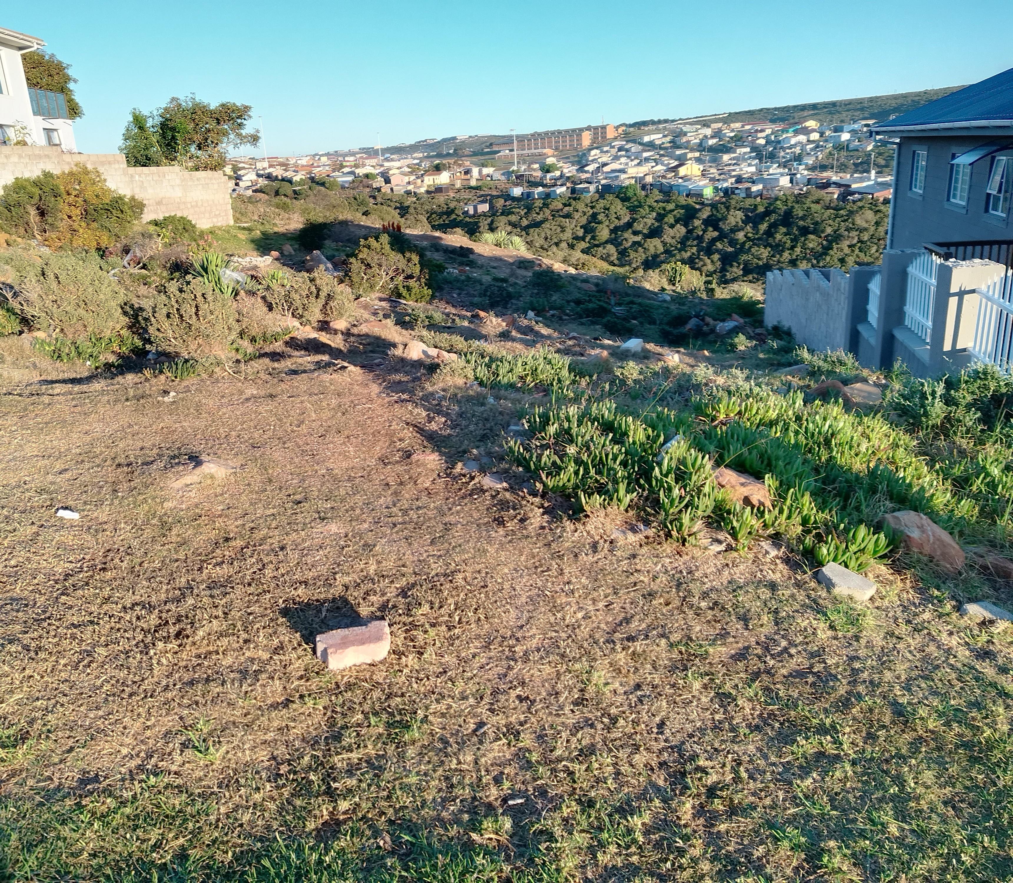 Image 2 of 6
