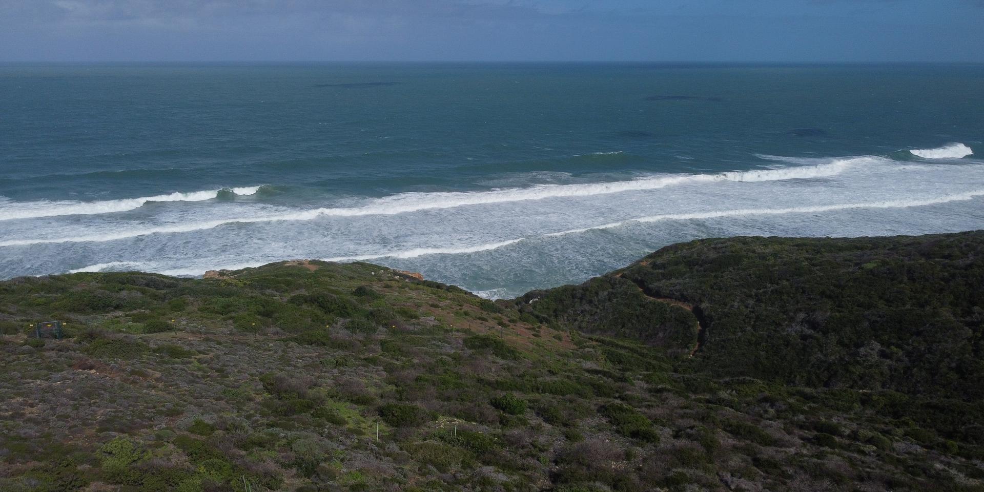 Image 4 of 6