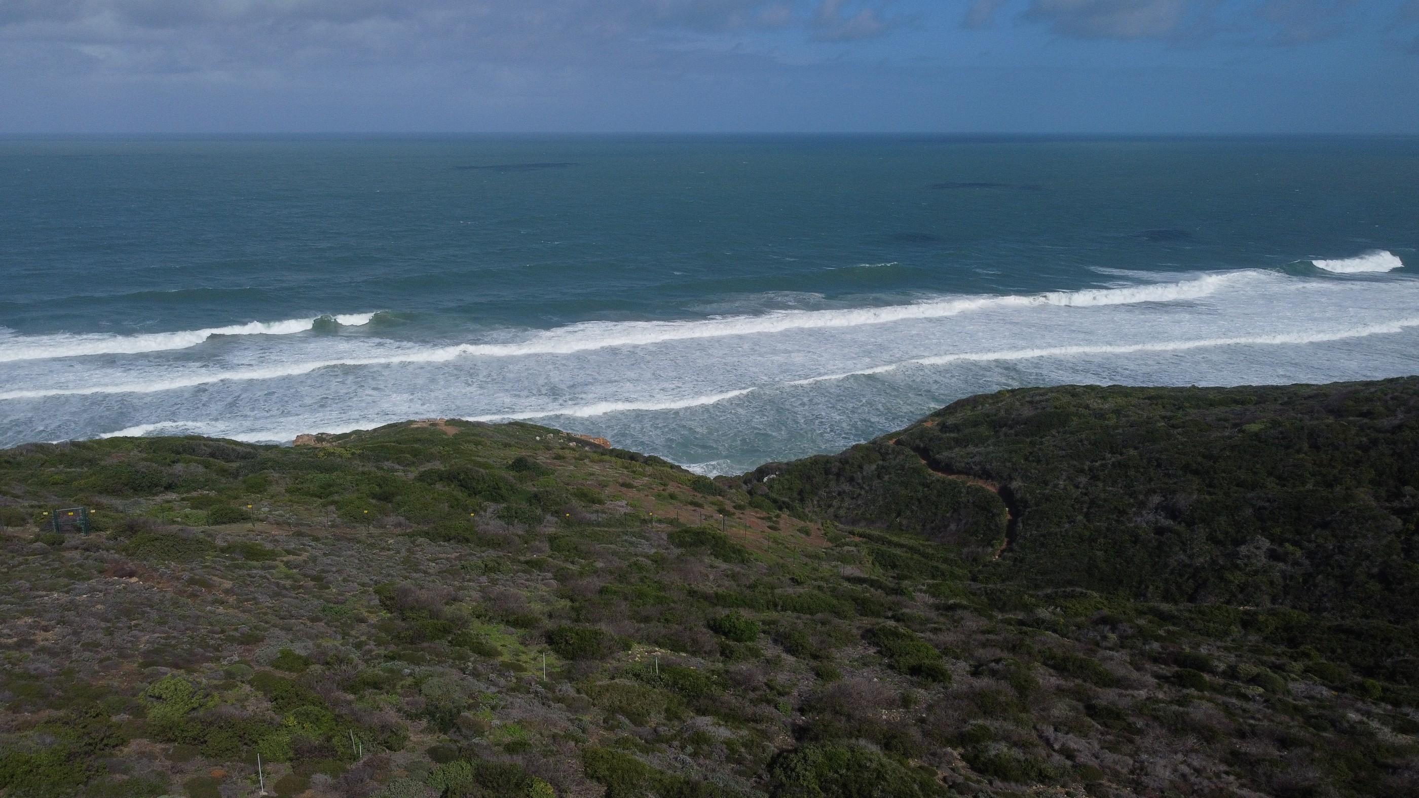 Image 4 of 6