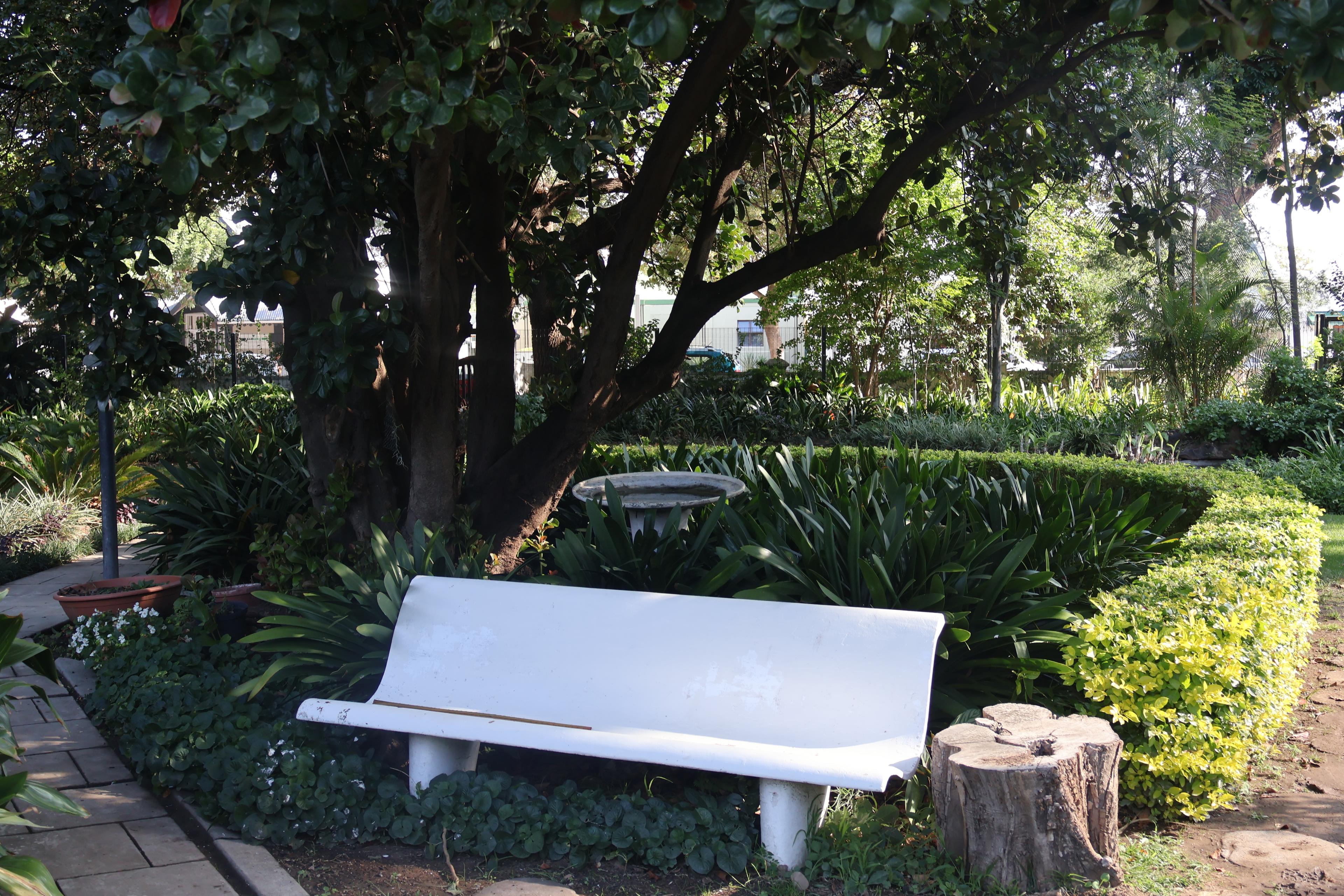 Image 22