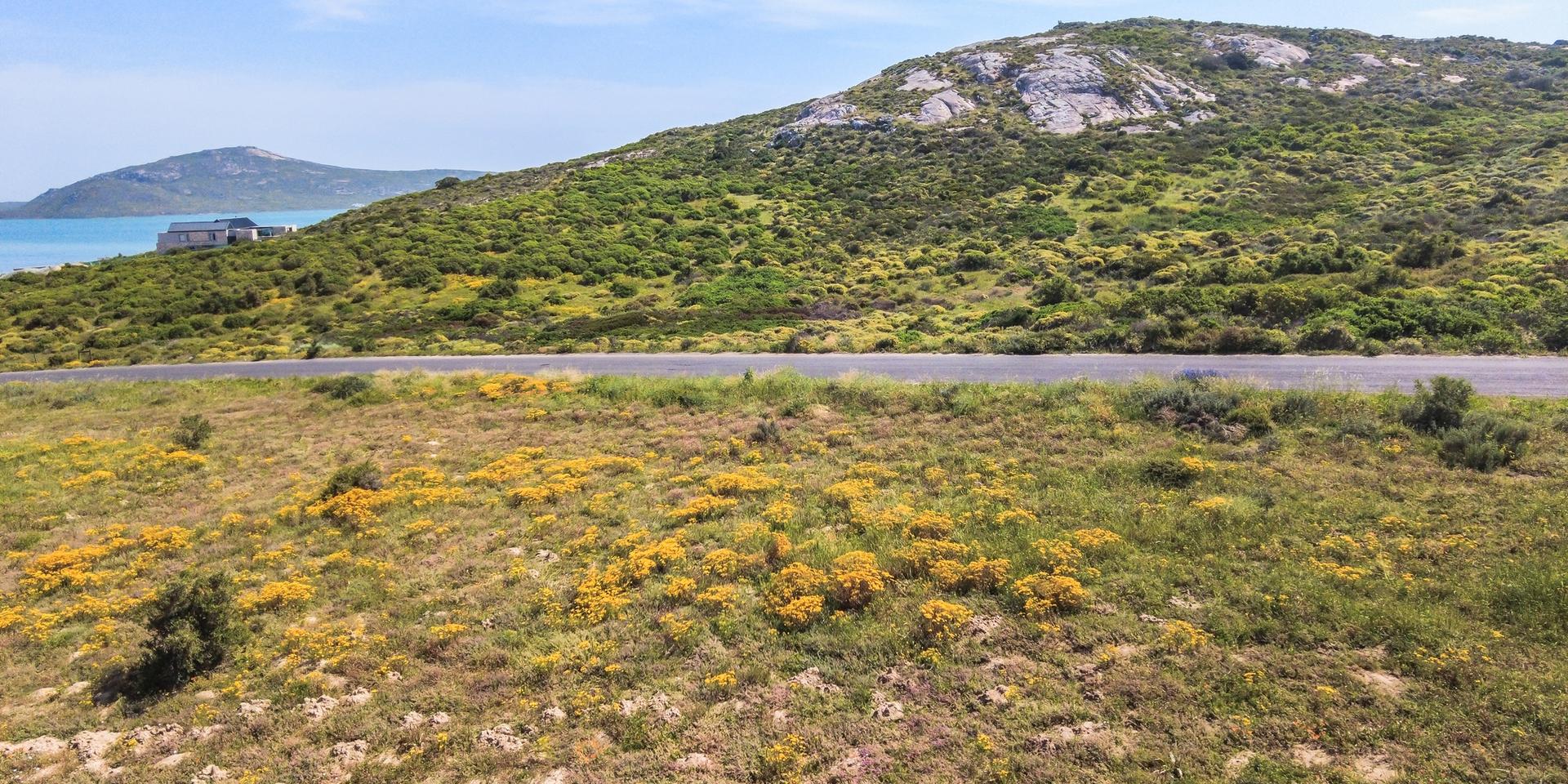 Image 4 of 6