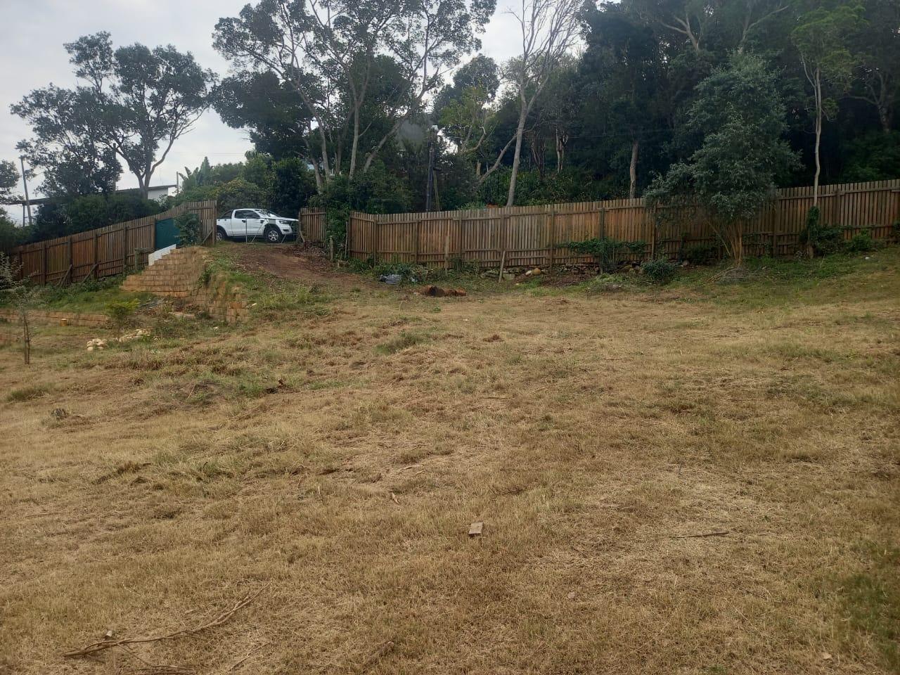 Image 15