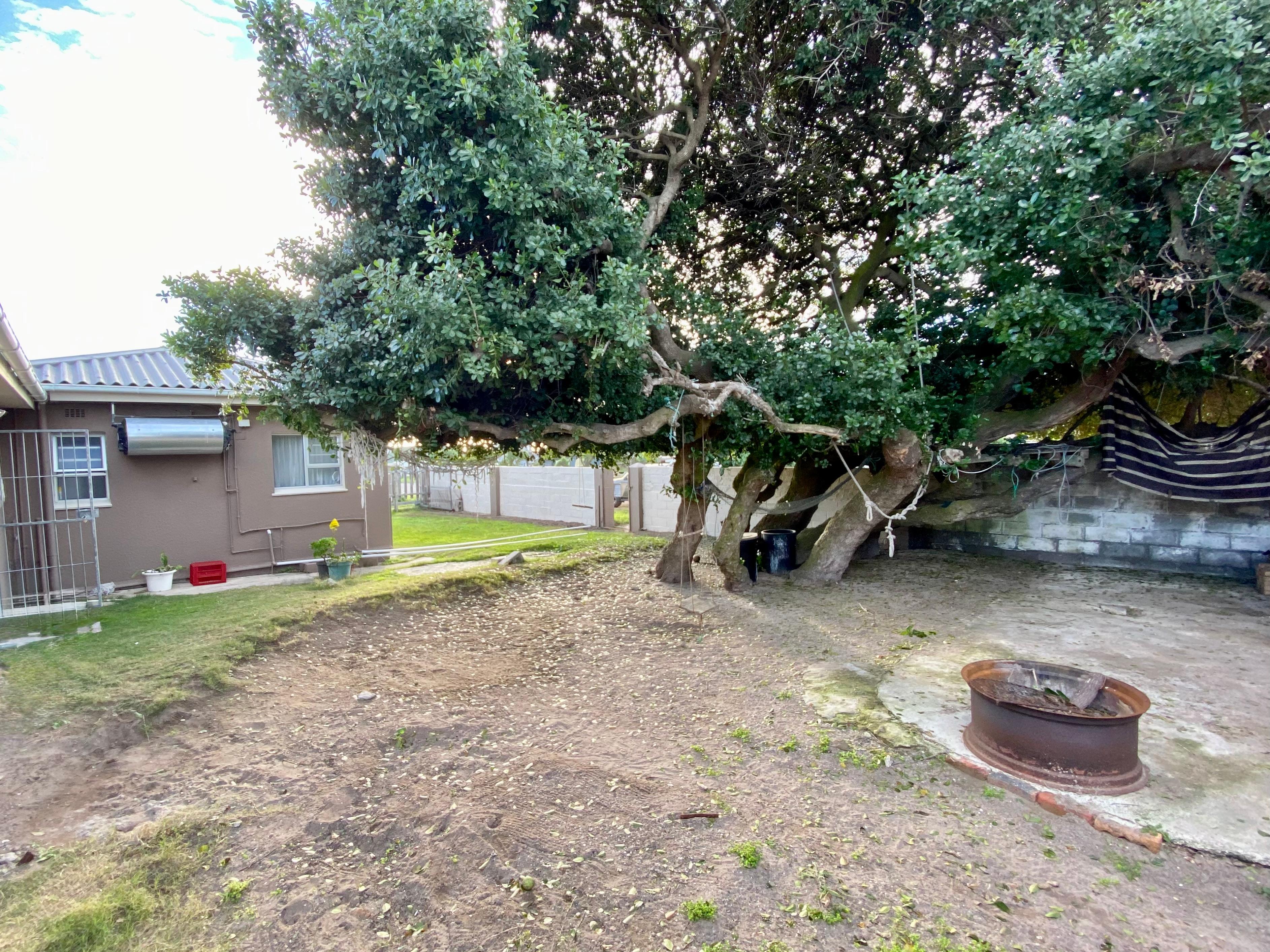 Image 29
