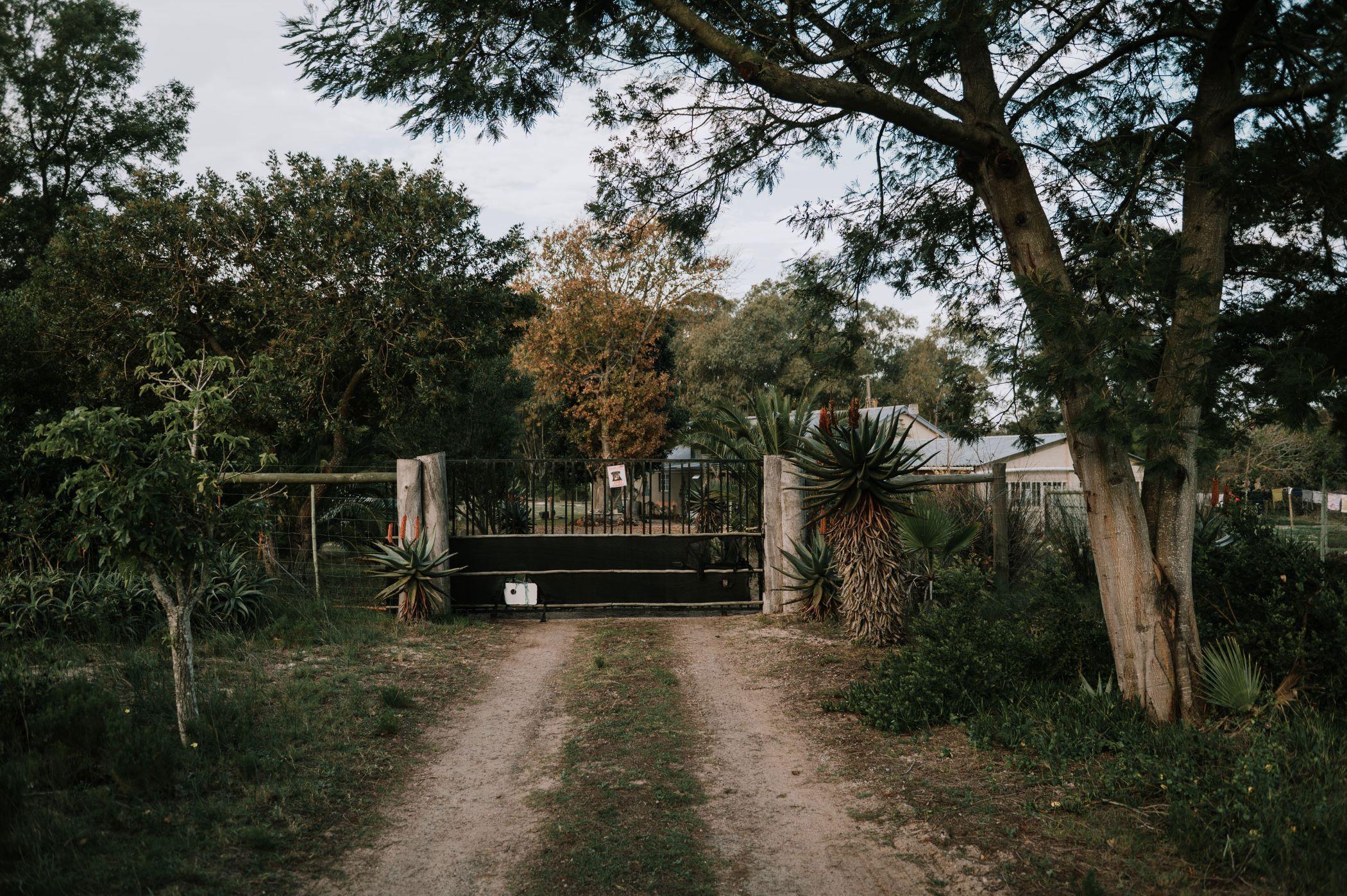 Image 6