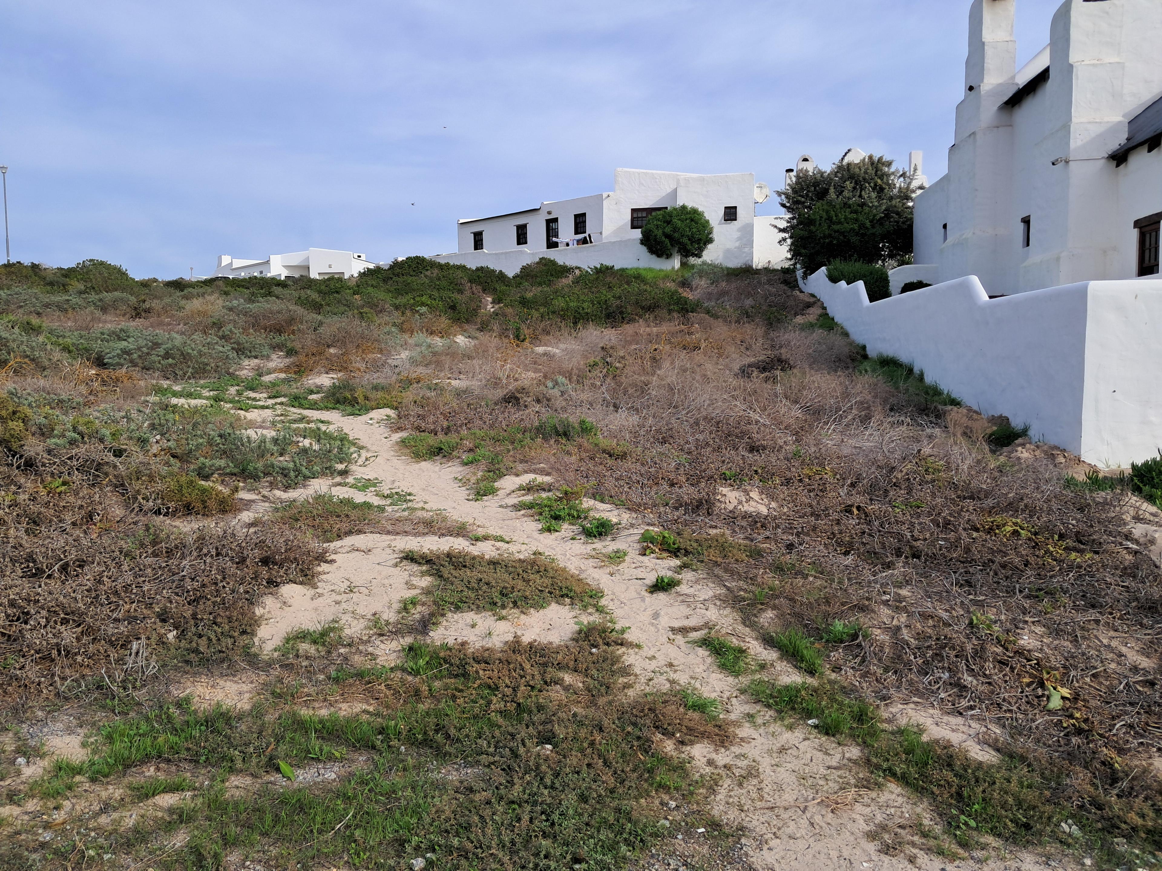 Image 5 of 6