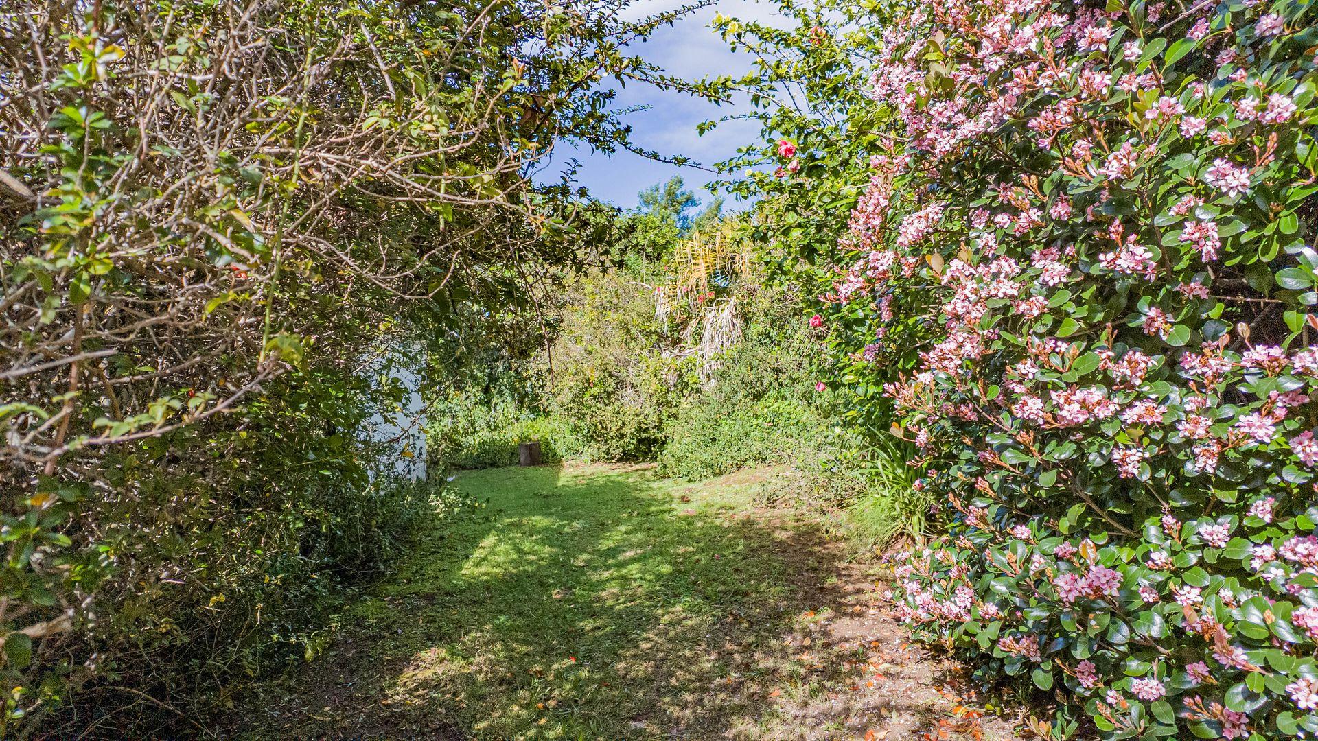 Image 13